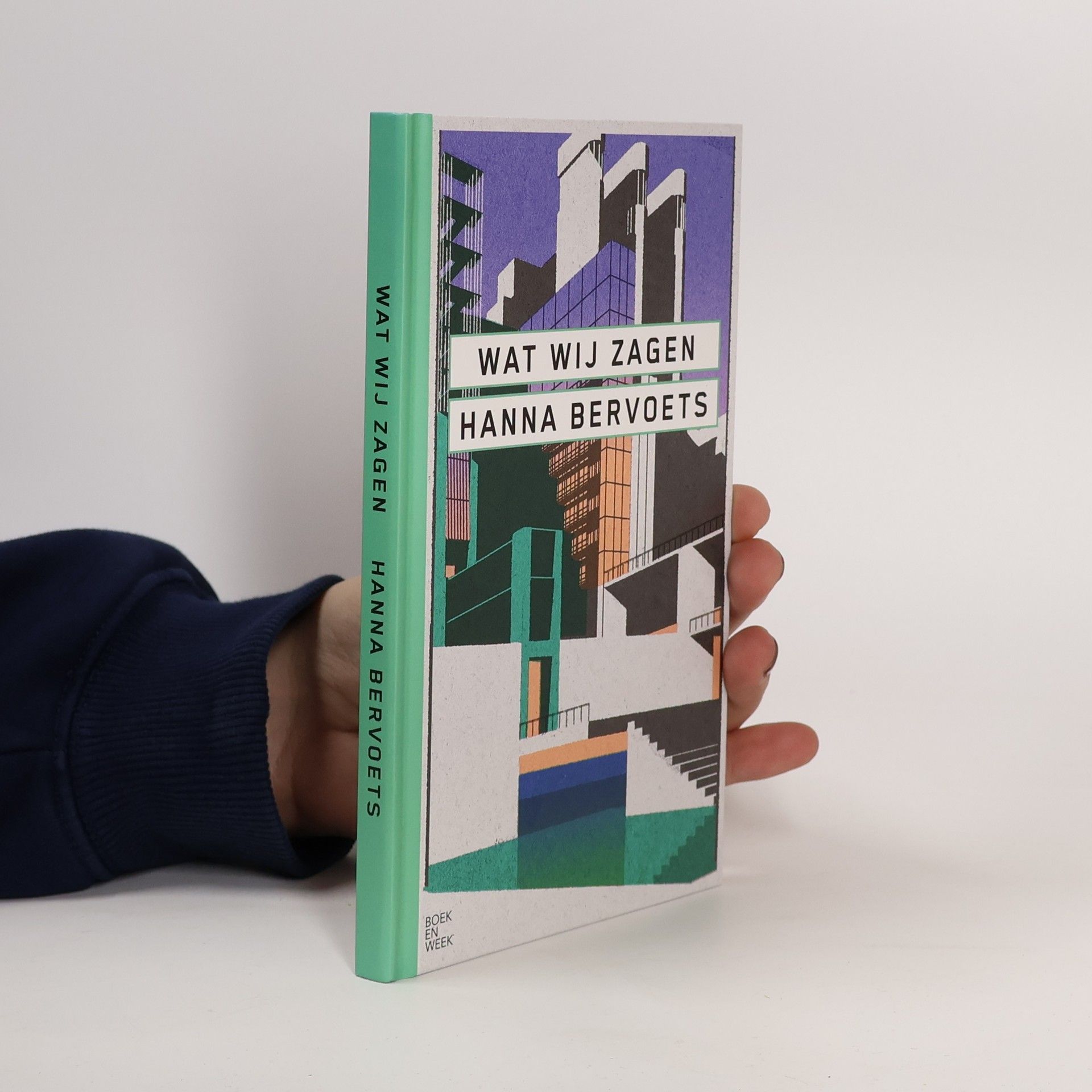 Hanna Bervoets Wat wij zagen