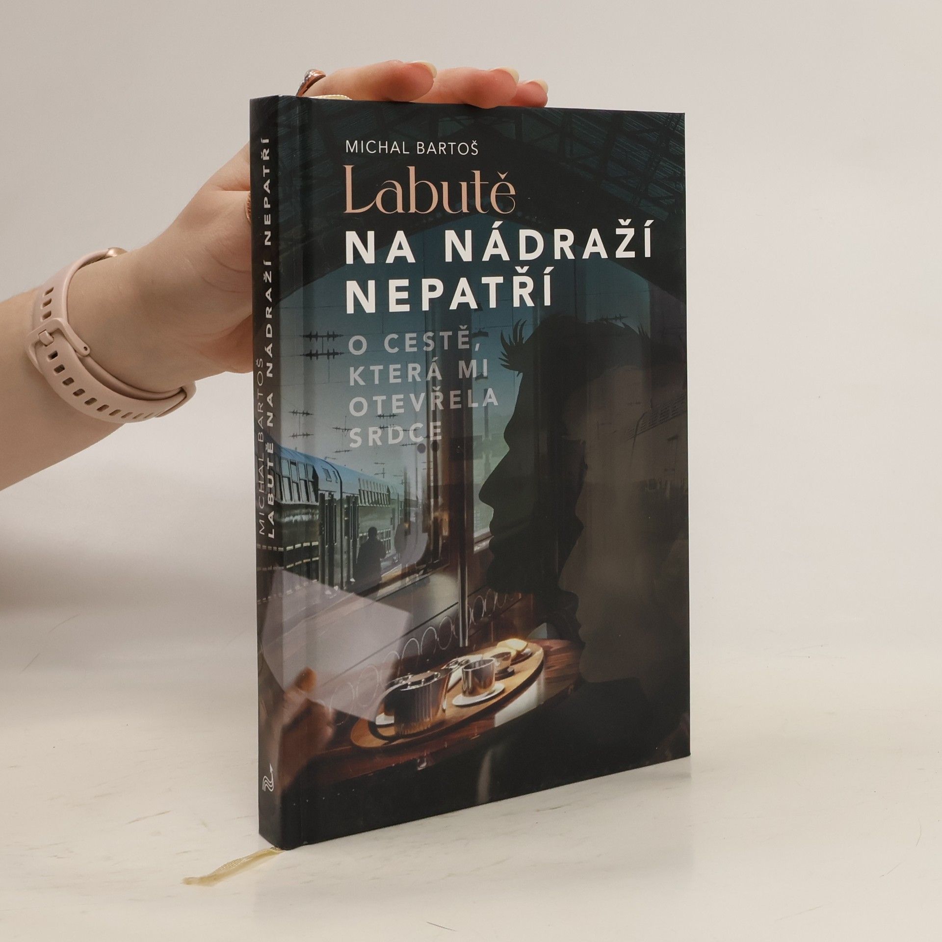 Labutě na nádraží nepatří