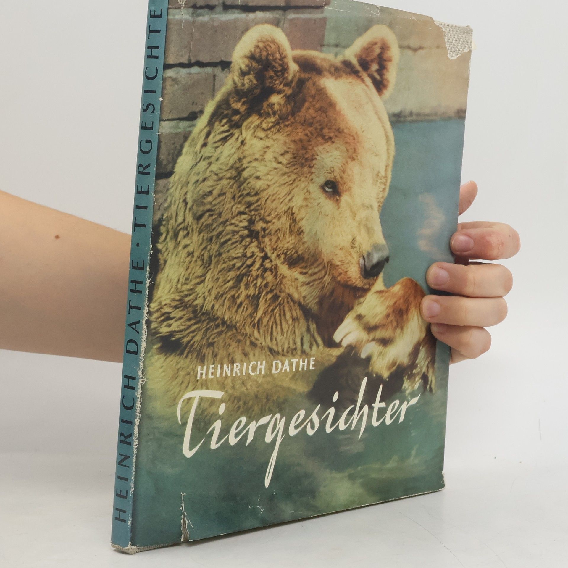 Heinrich Dathe Tiergesichter
