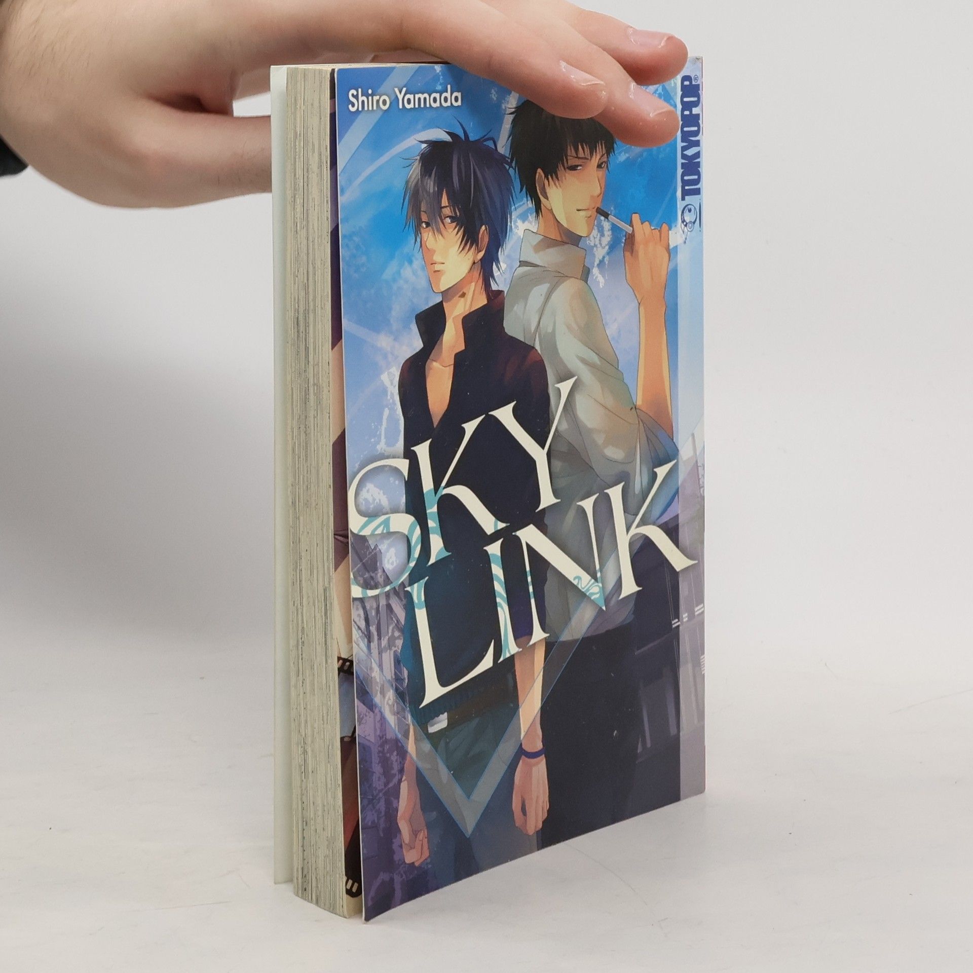 Shirō Yamada Sky Link