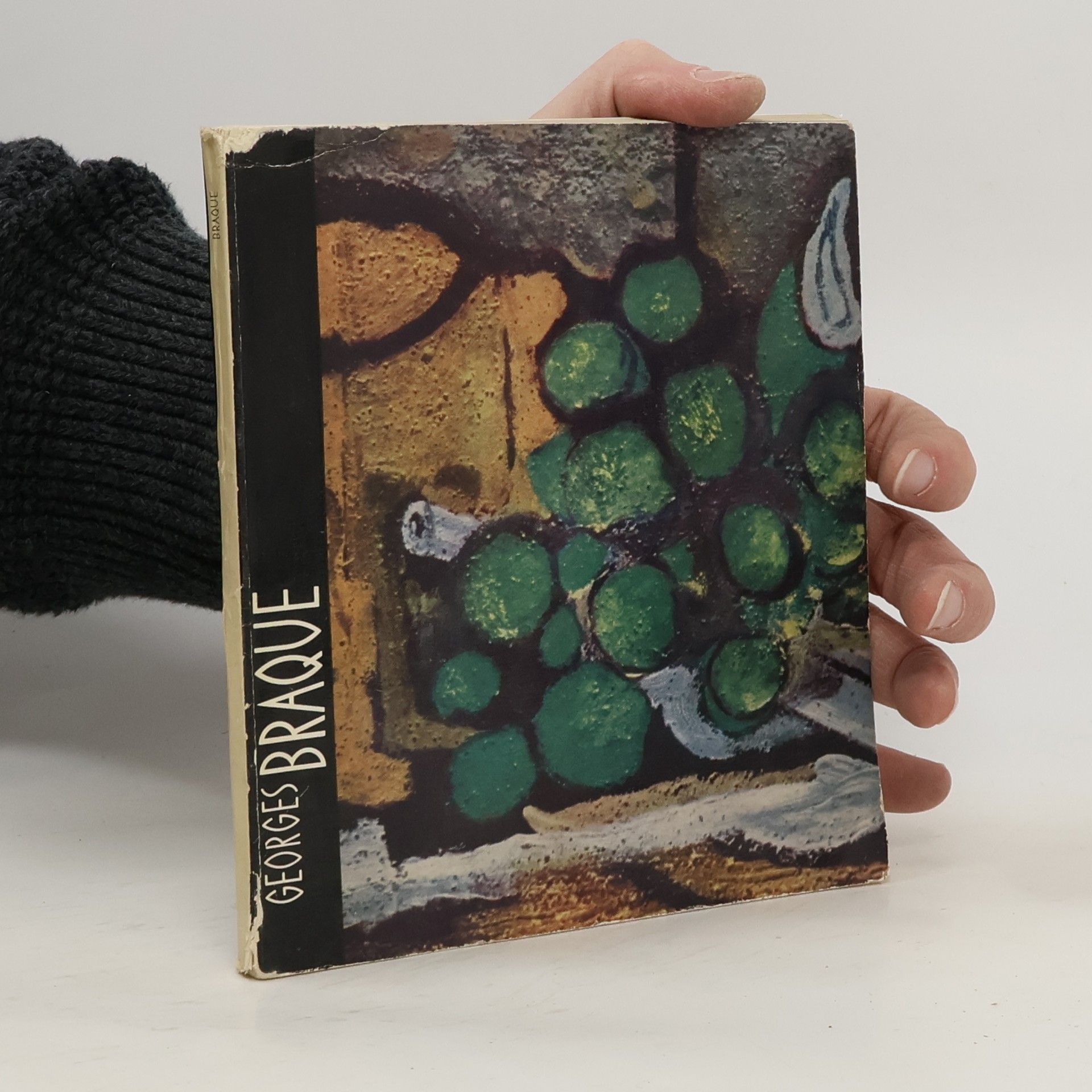 Jiří Padrta Georges Braque