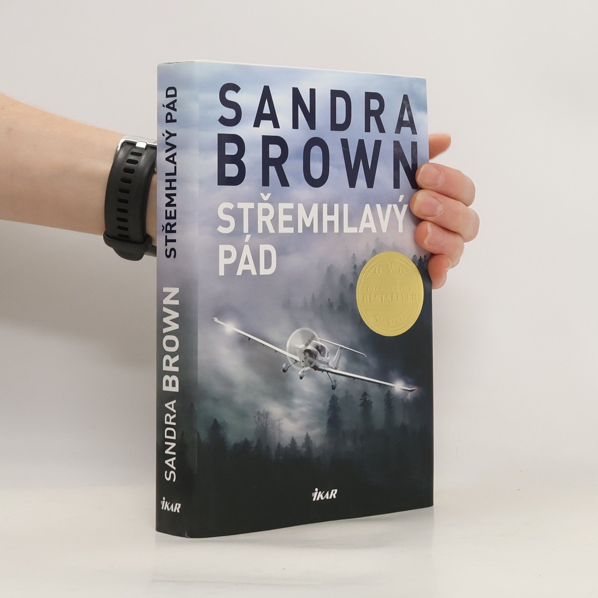 Sandra Brown Střemhlavý pád