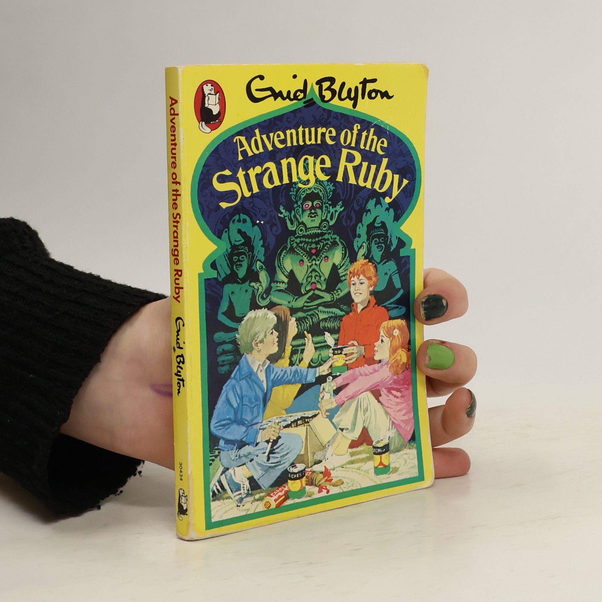 Enid Blyton Adventure of the Strange Ruby