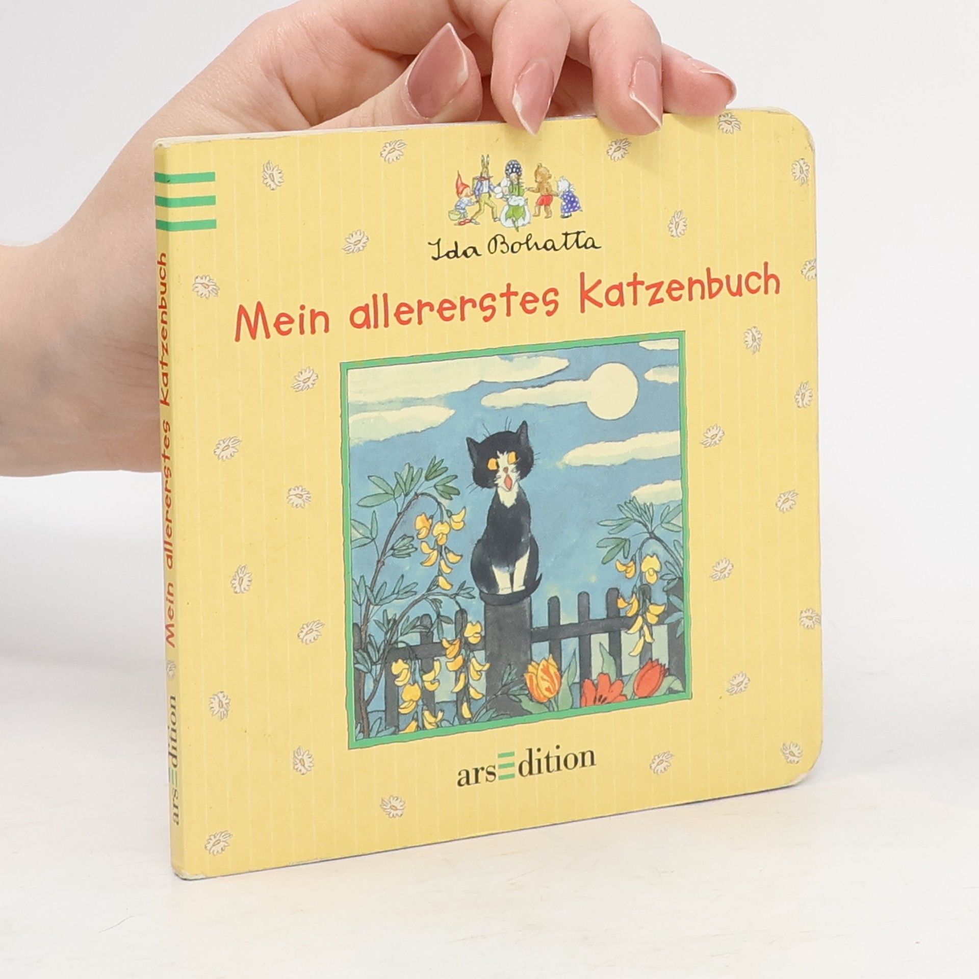 Ida Bohalla Mein allererstes Katzenbuch