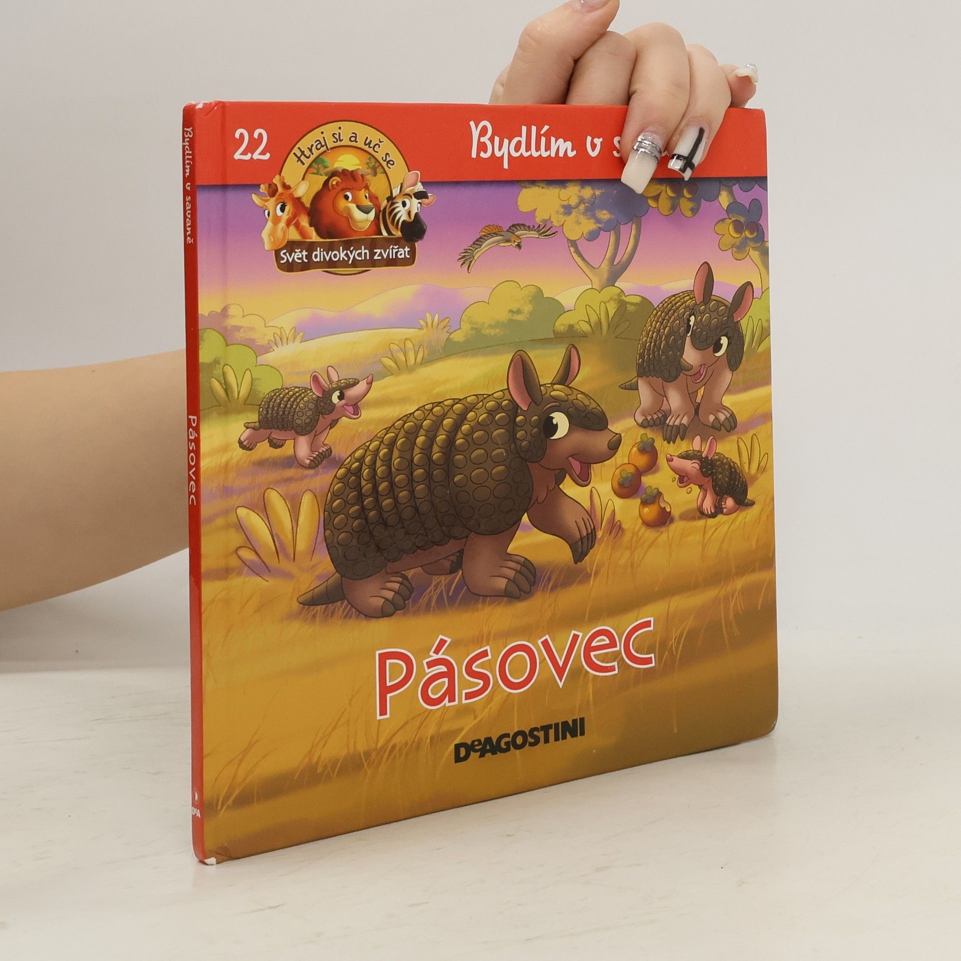 Kolektiv autorů Pásovec