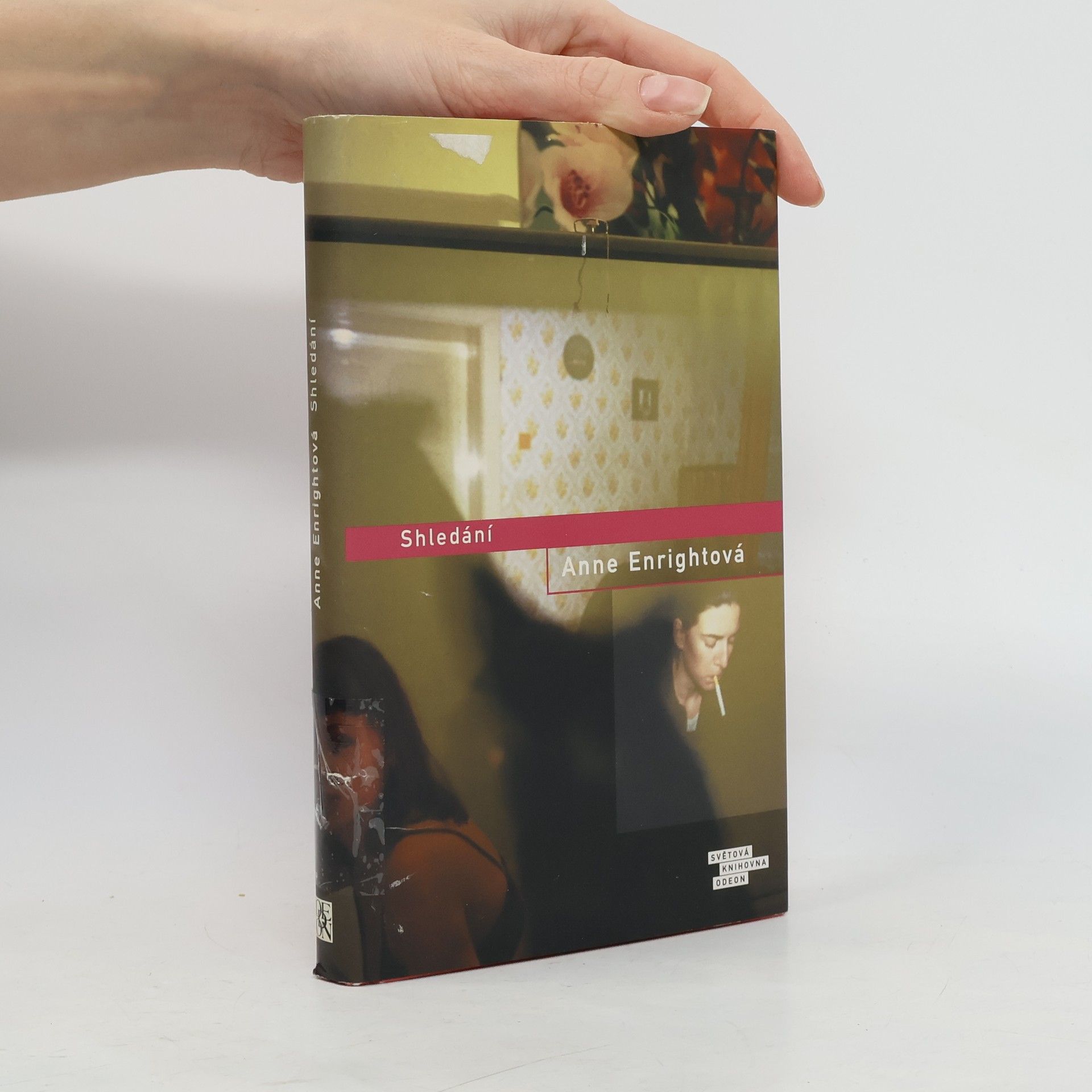 Anne Enright Shledání