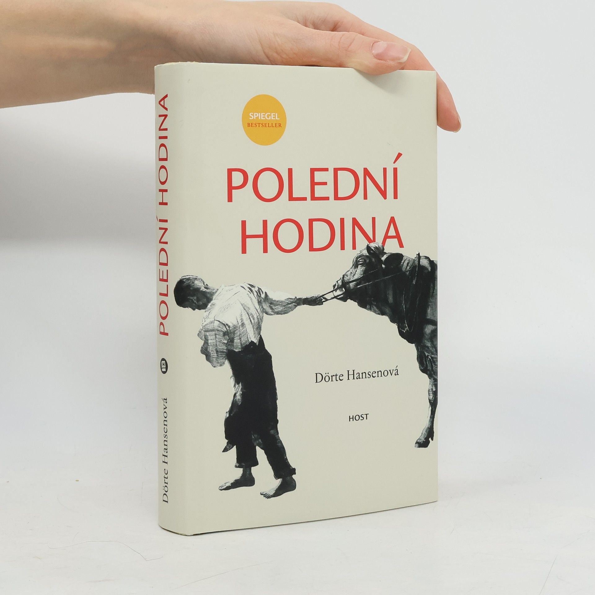 Dörte Hansen Polední hodina