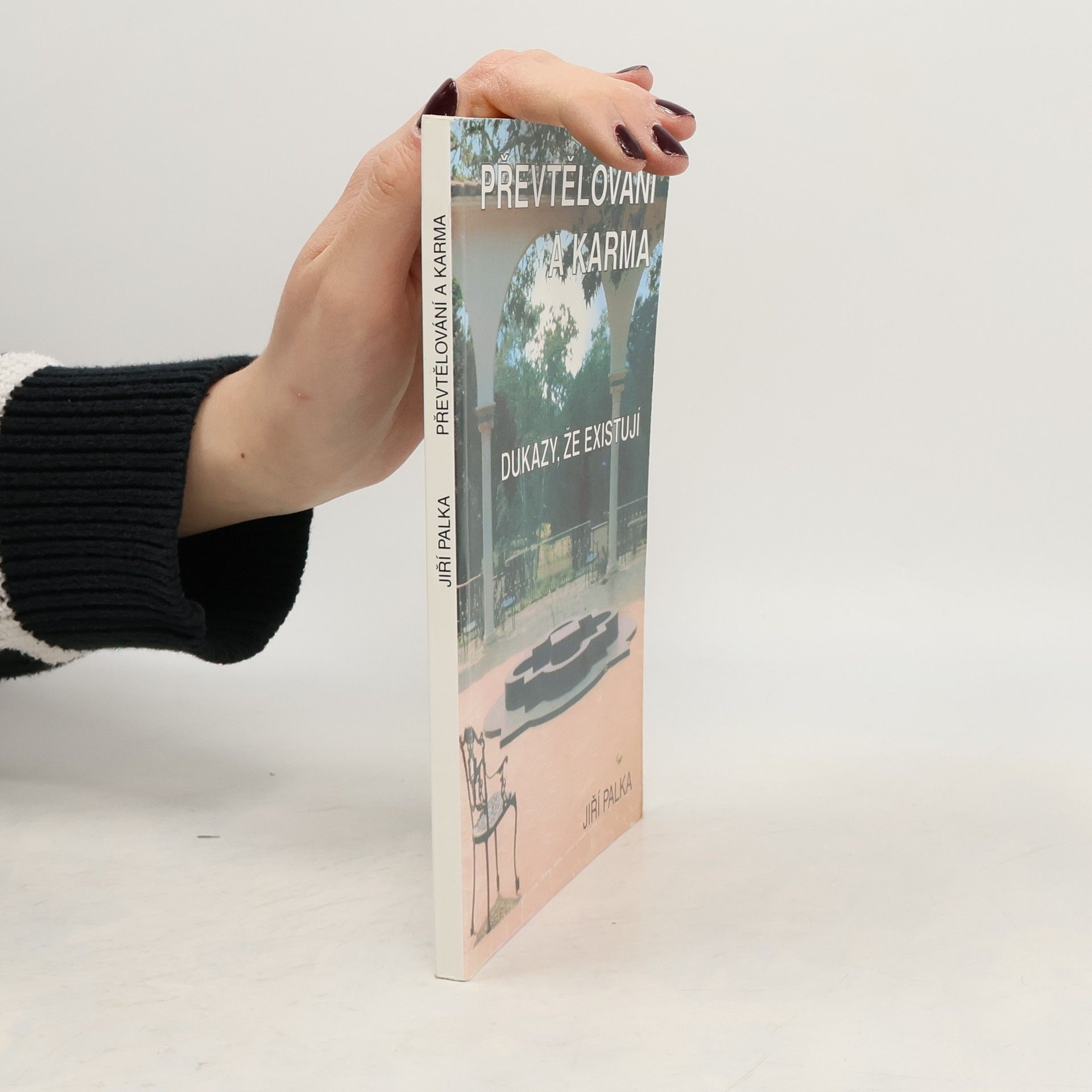 Převtělování a karma