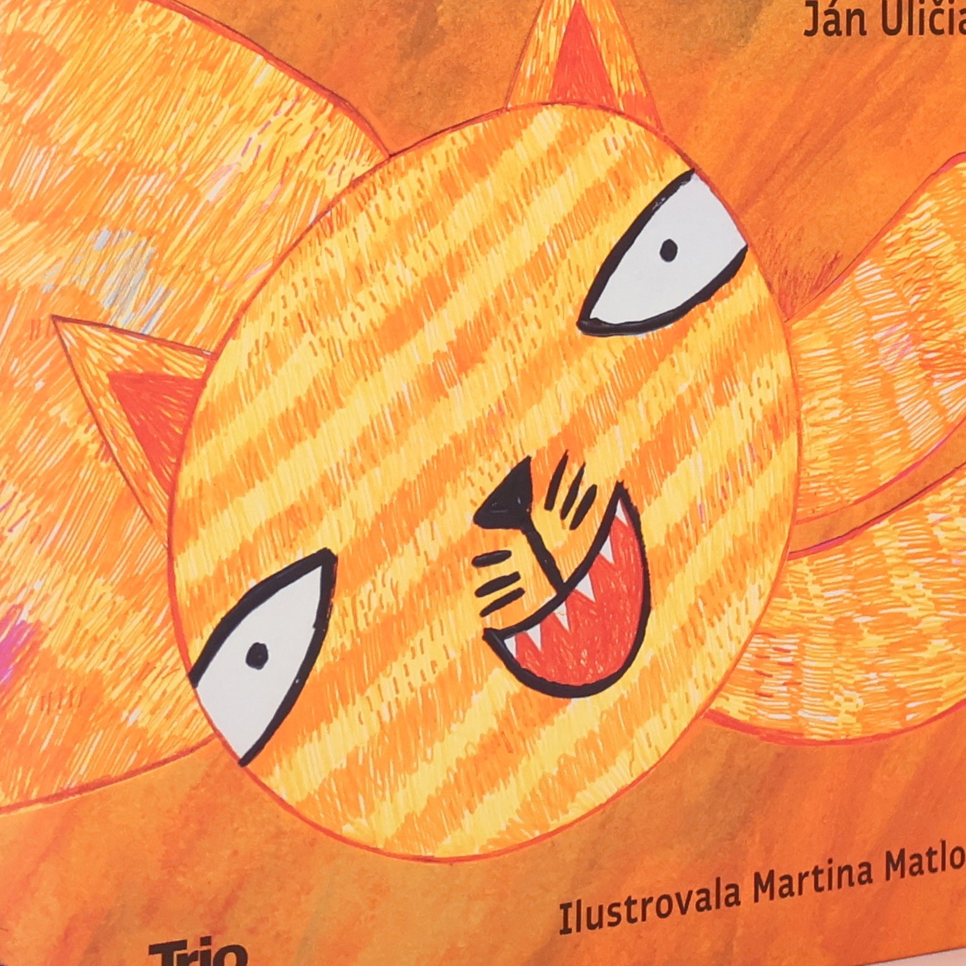 Leonardo, kocúr z ulice