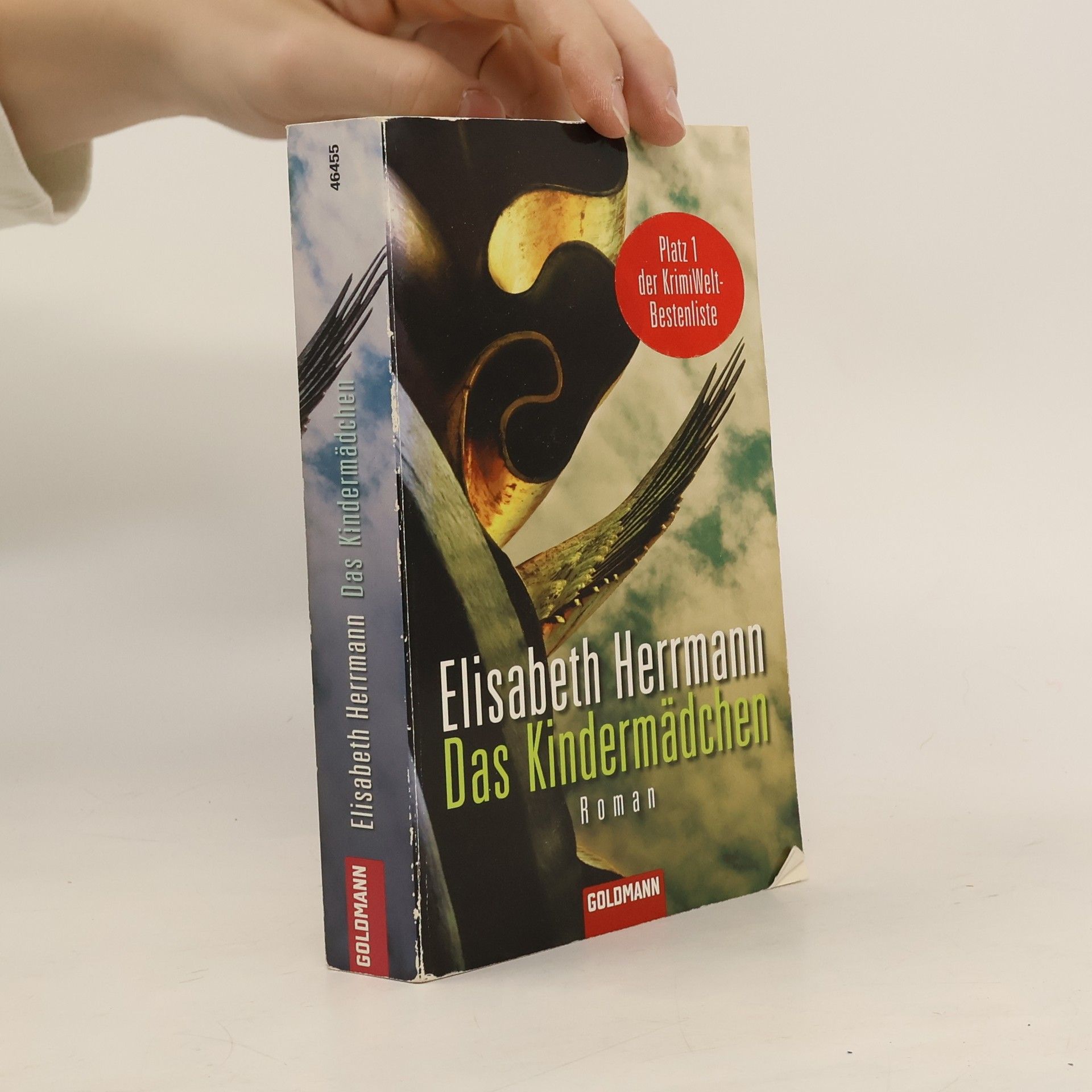 Elisabeth Hermann Das Kindermädchen