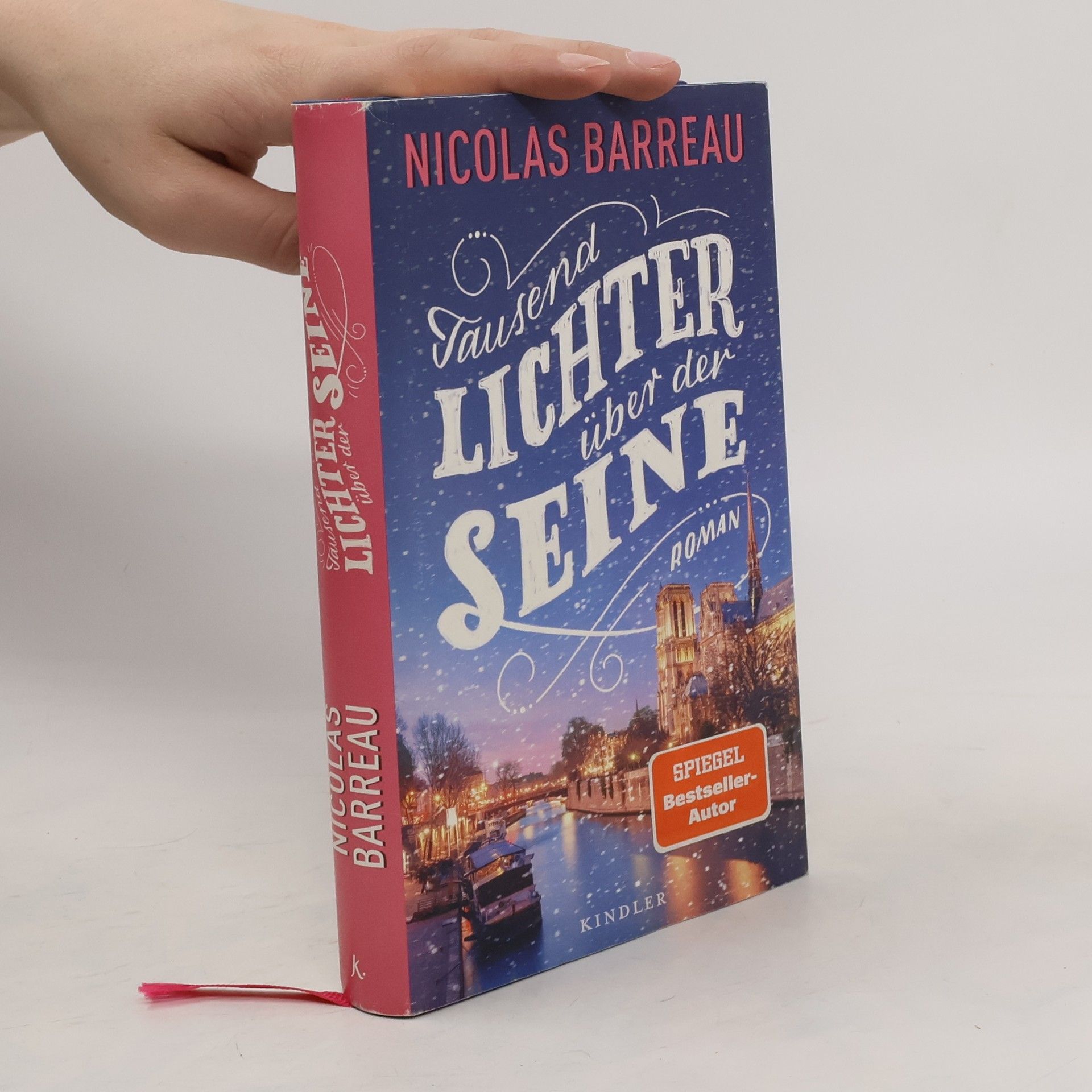 Tausend Lichter über der Seine