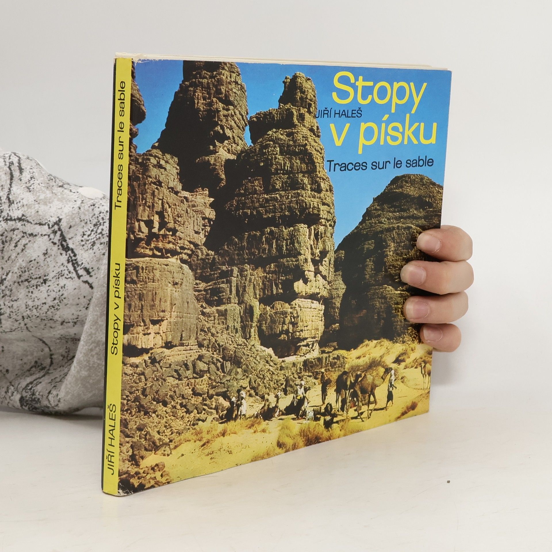 Stopy v písku. Traces sur le sable