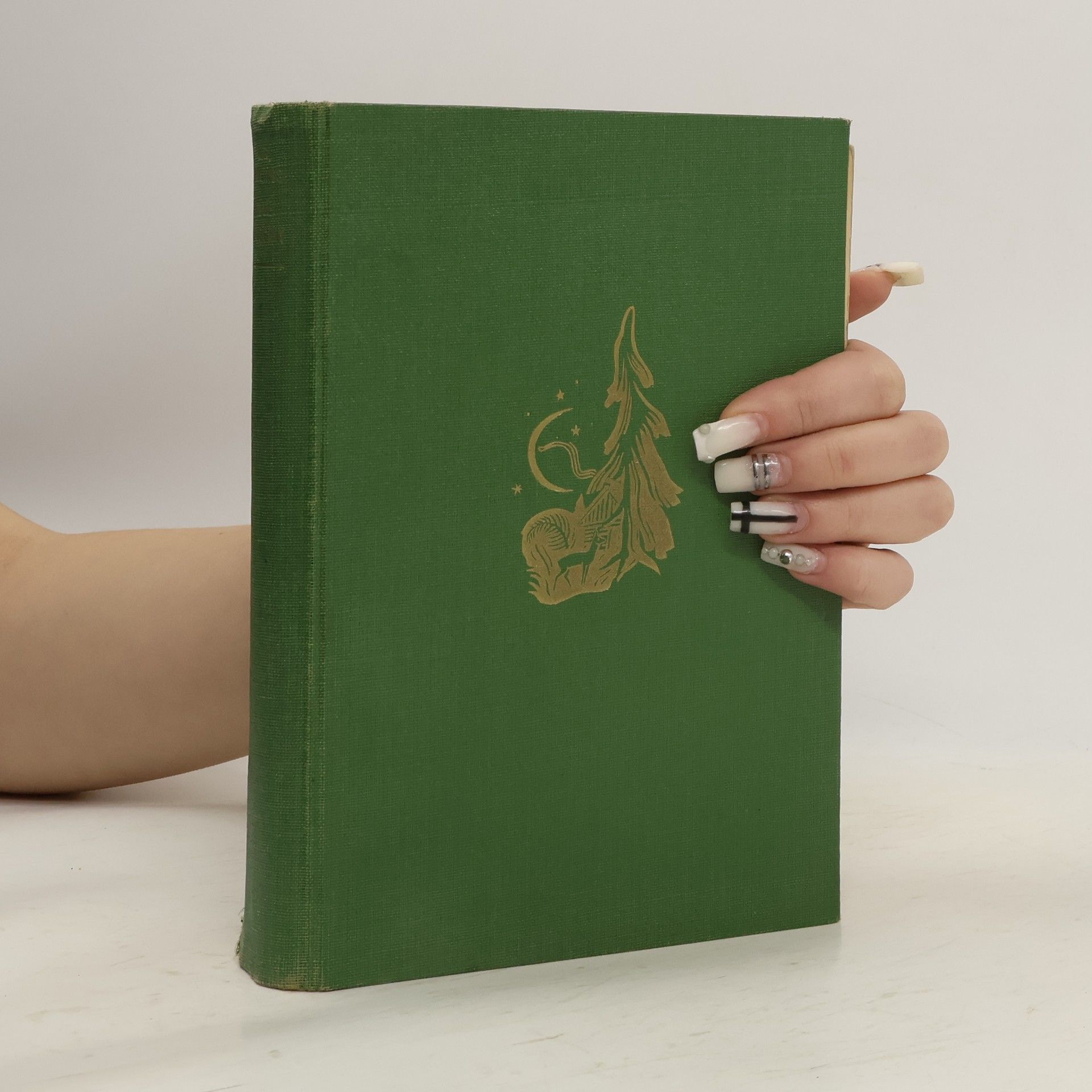 Marjorie Kinnan Rawlings Dítě divočiny