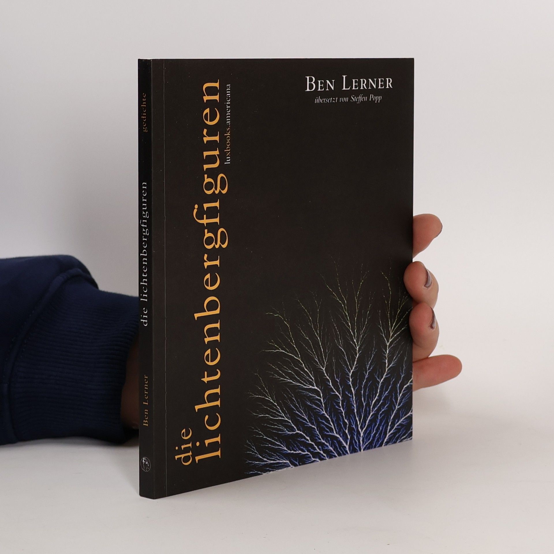 Ben Lerner Die Lichtenbergfiguren. Gedichte. Zweisprachige Ausgabe