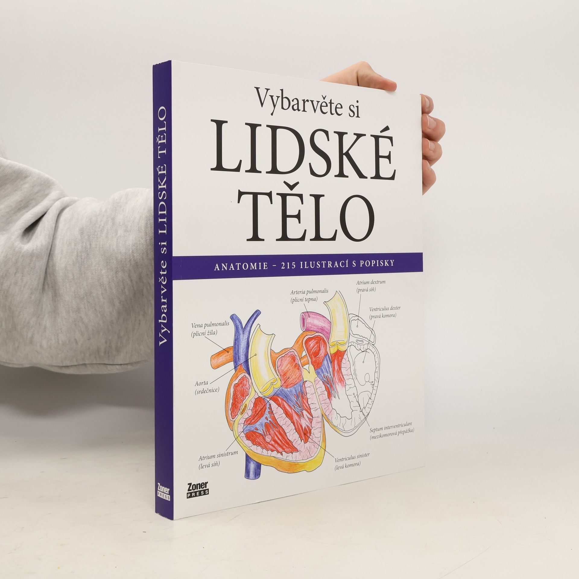 Evelína Kovácsová Vybarvěte si lidské tělo : anatomie - 215 ilustrací s popisky