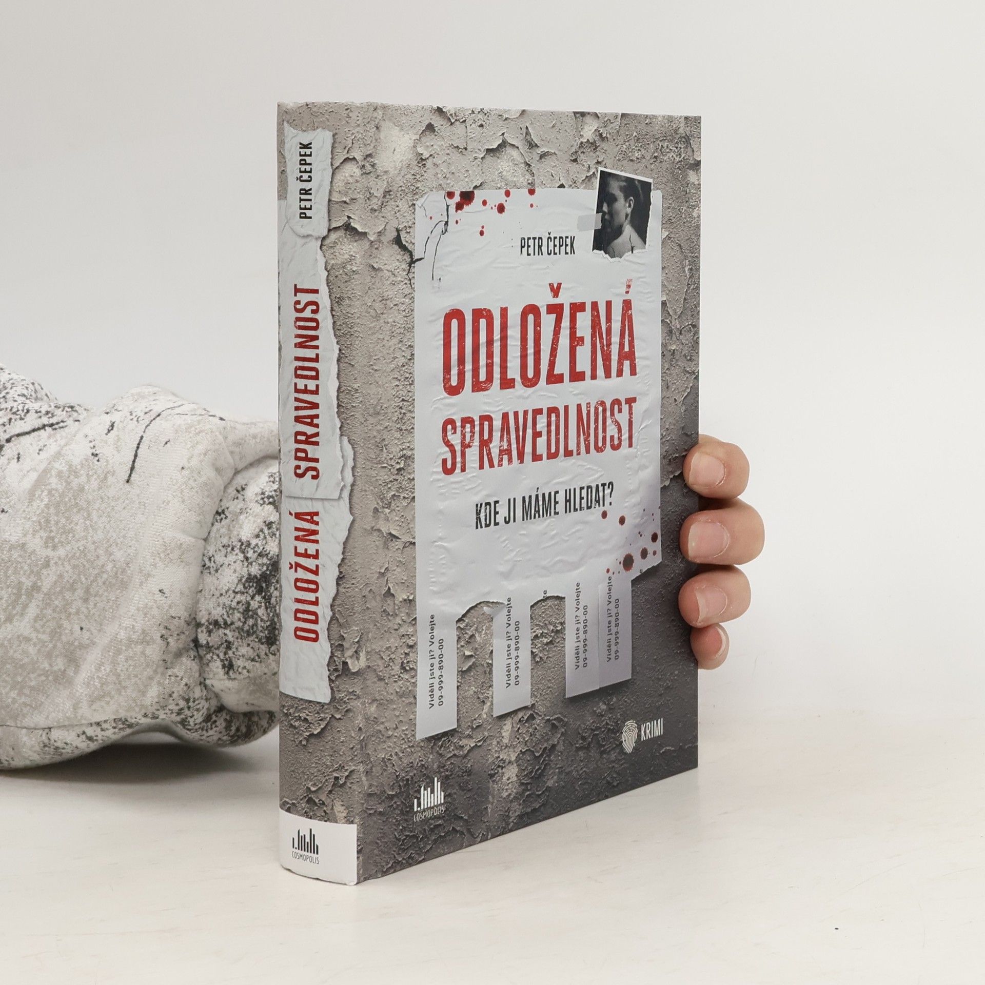 Petr Čepek Odložená spravedlnost