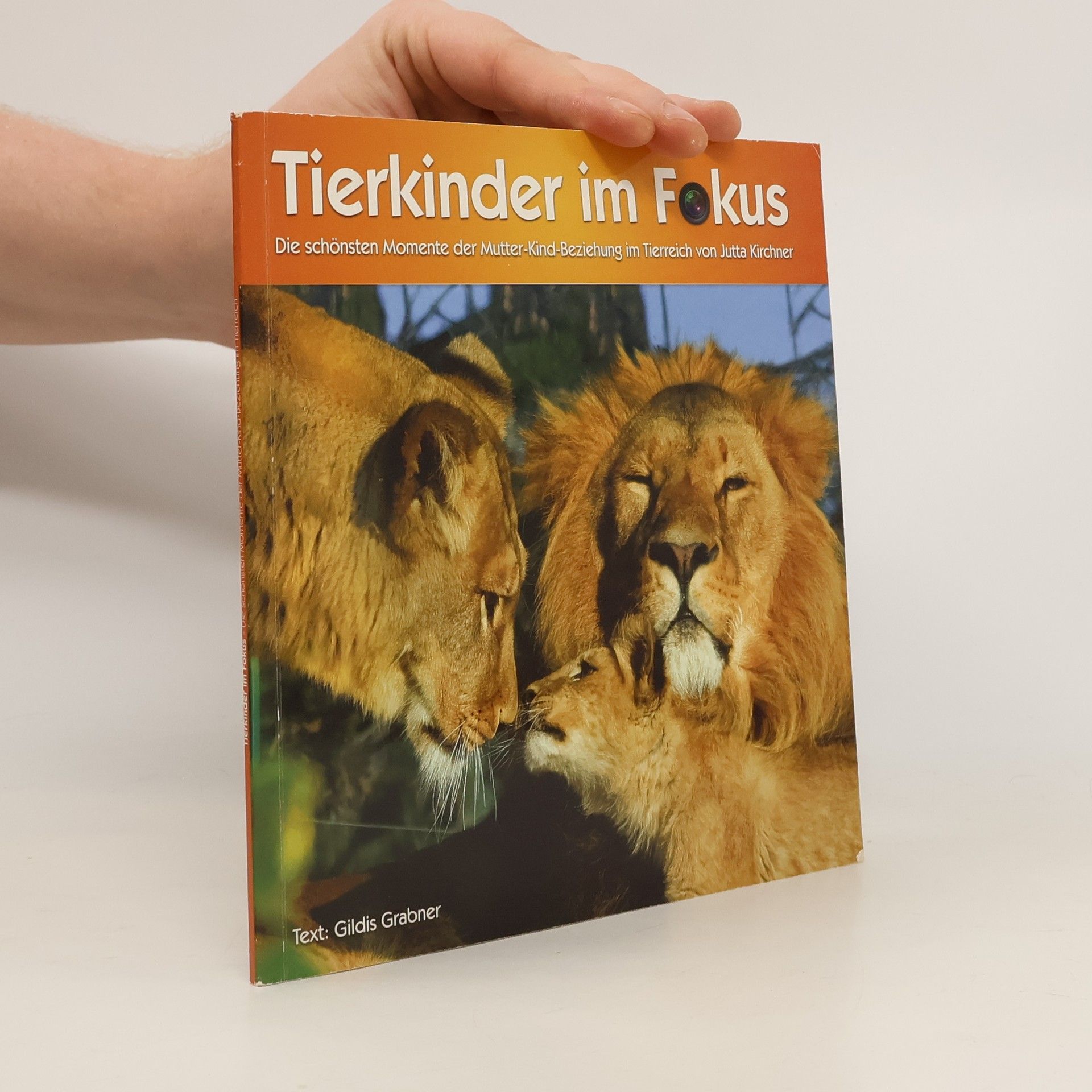 Tierkinder im Fokus