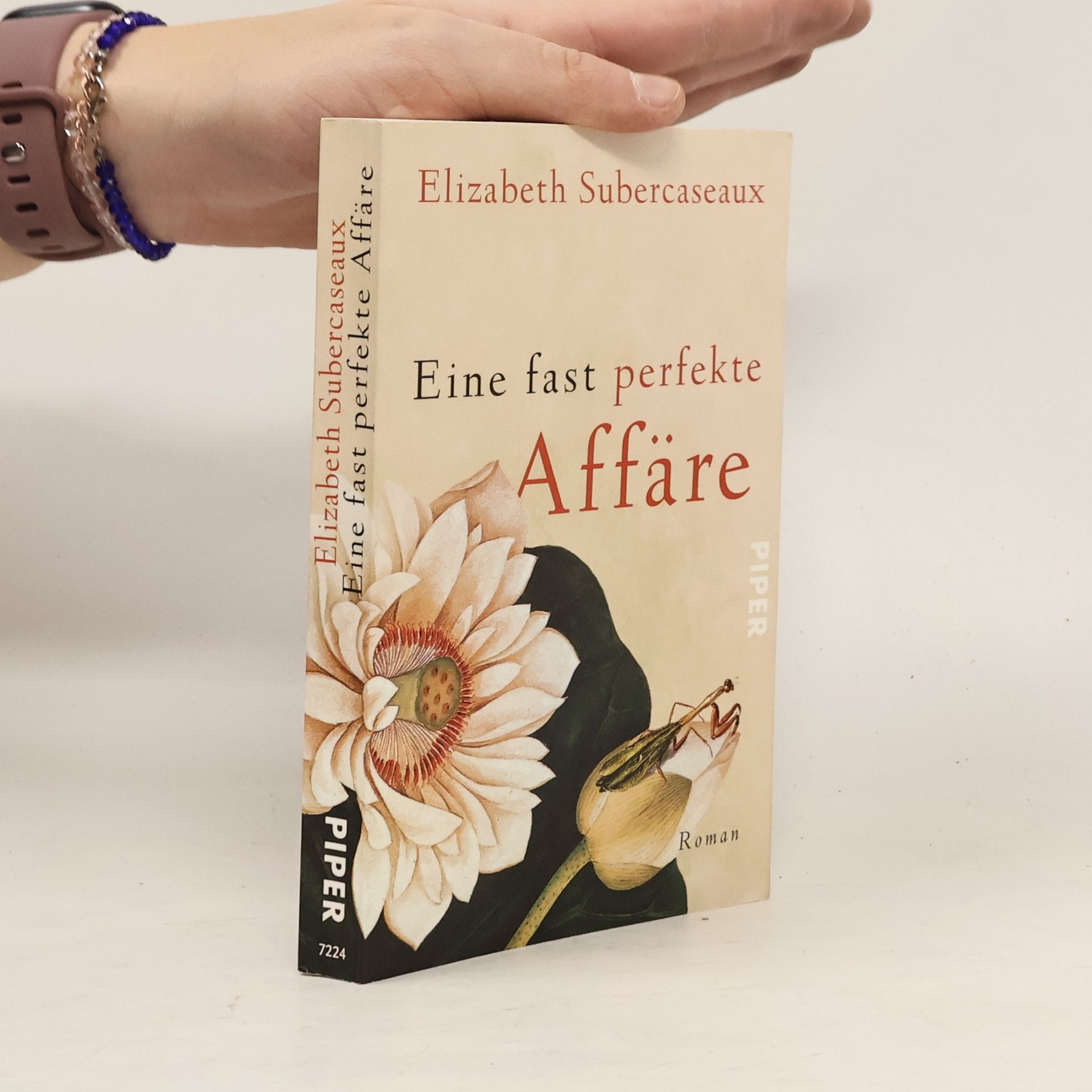 Eine fast perfekte Affäre