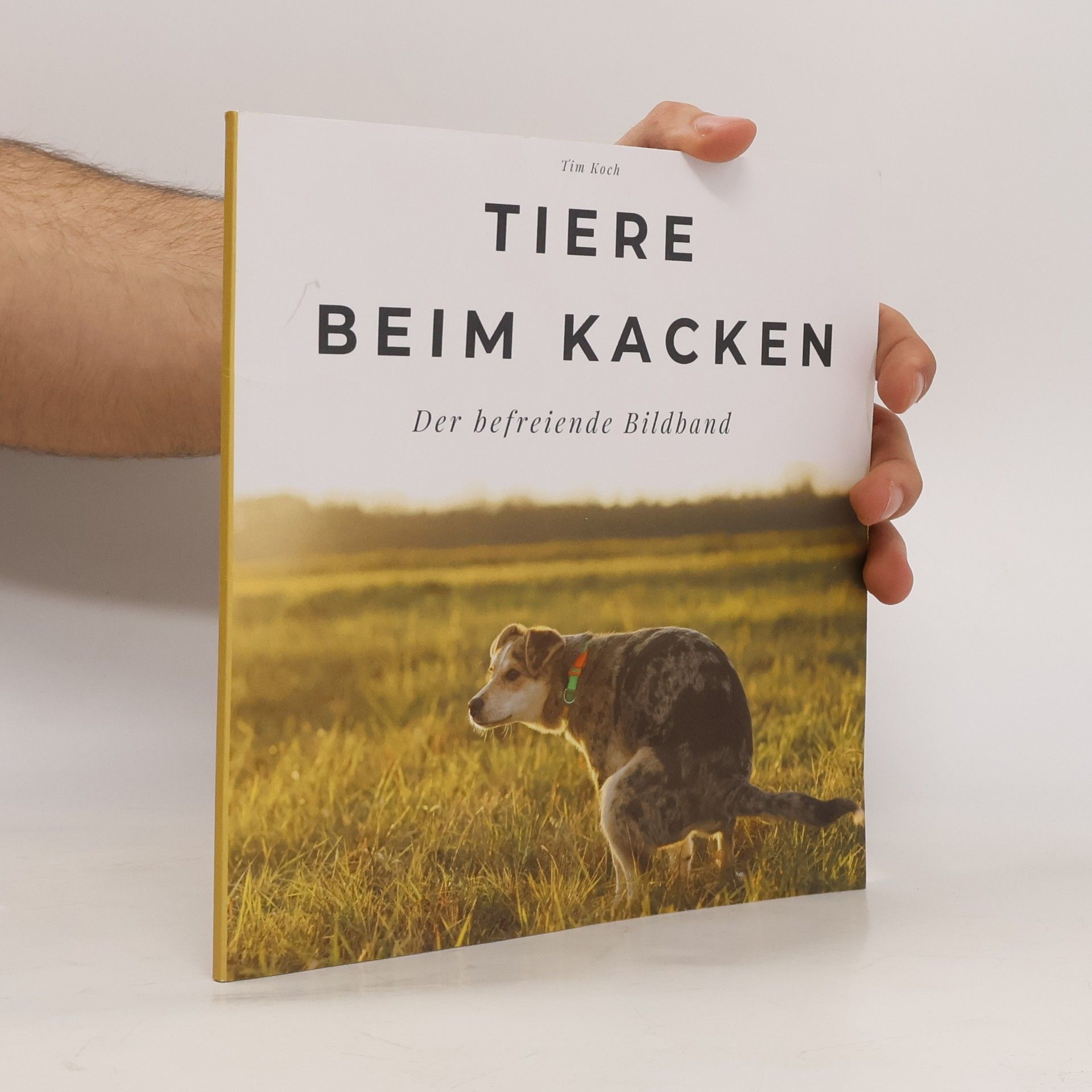 Tim Kock Tiere beim Kacken