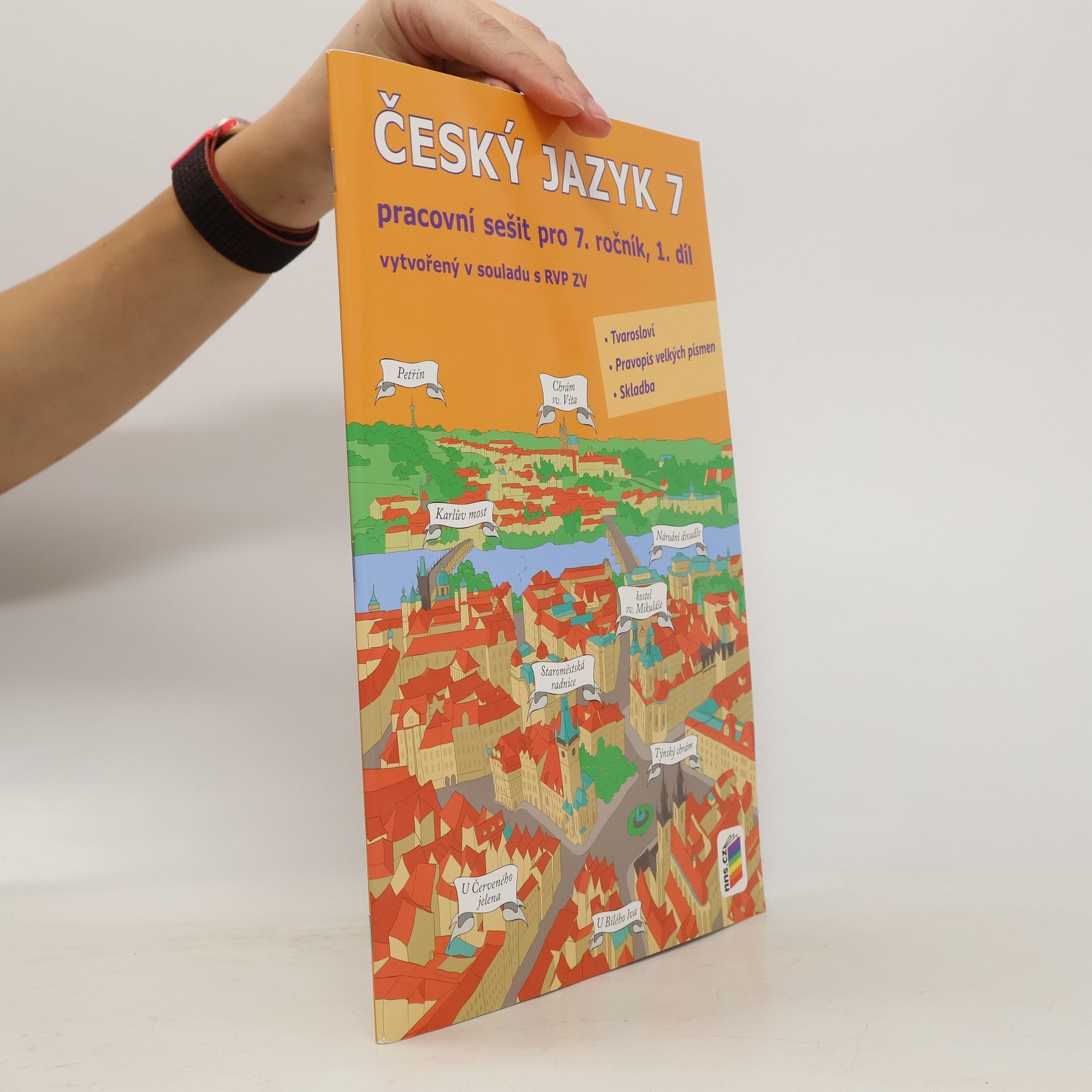 Český jazyk pracovní sešit pro 7. ročník 1. díl