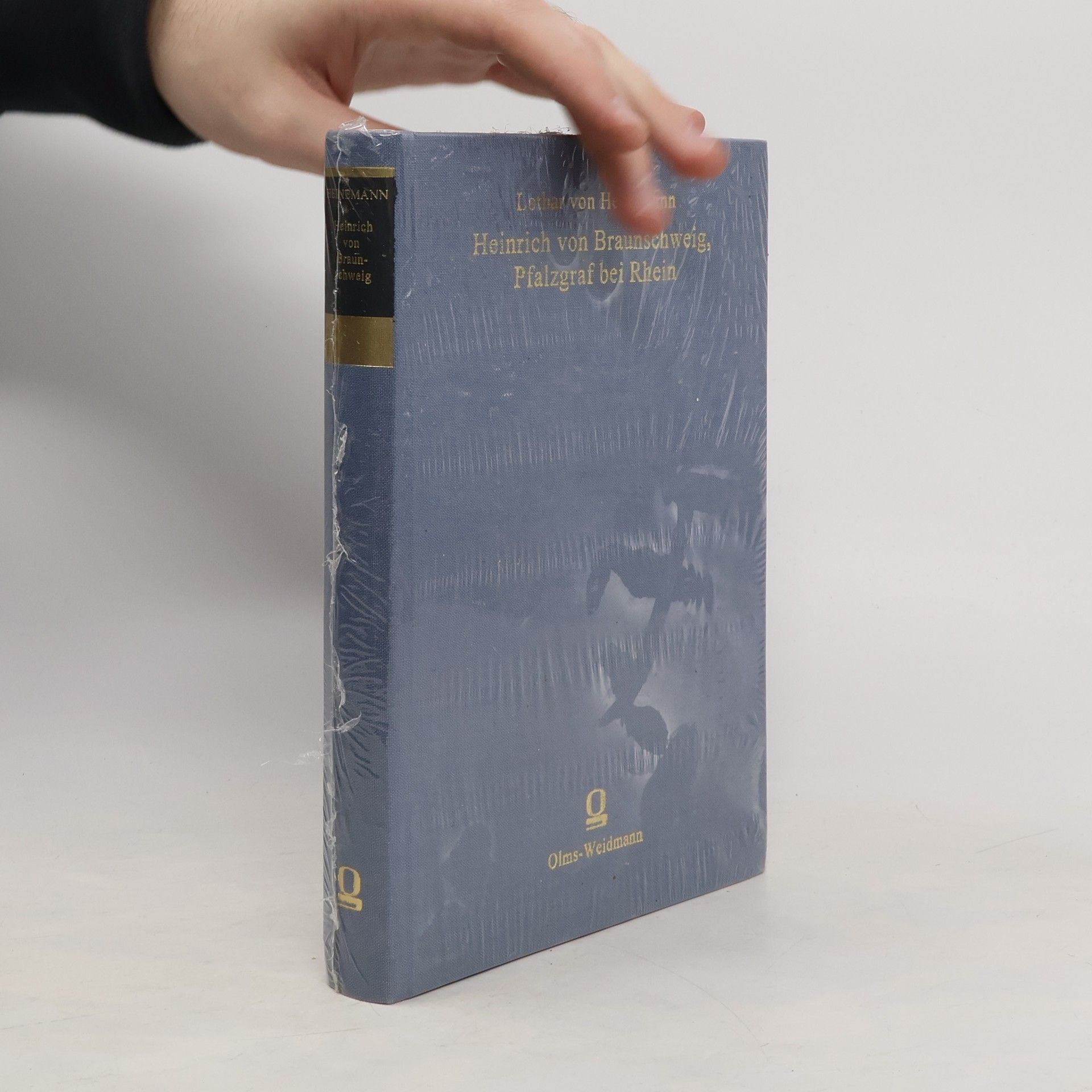 Heinrich von Braunschweig, Pfalzgraf bei Rhein