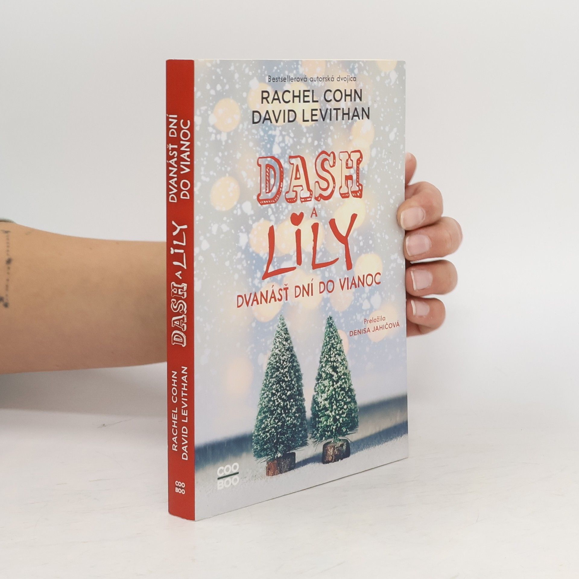 Rachel Cohn Dash a Lily: Dvanácť dní do Vianoc