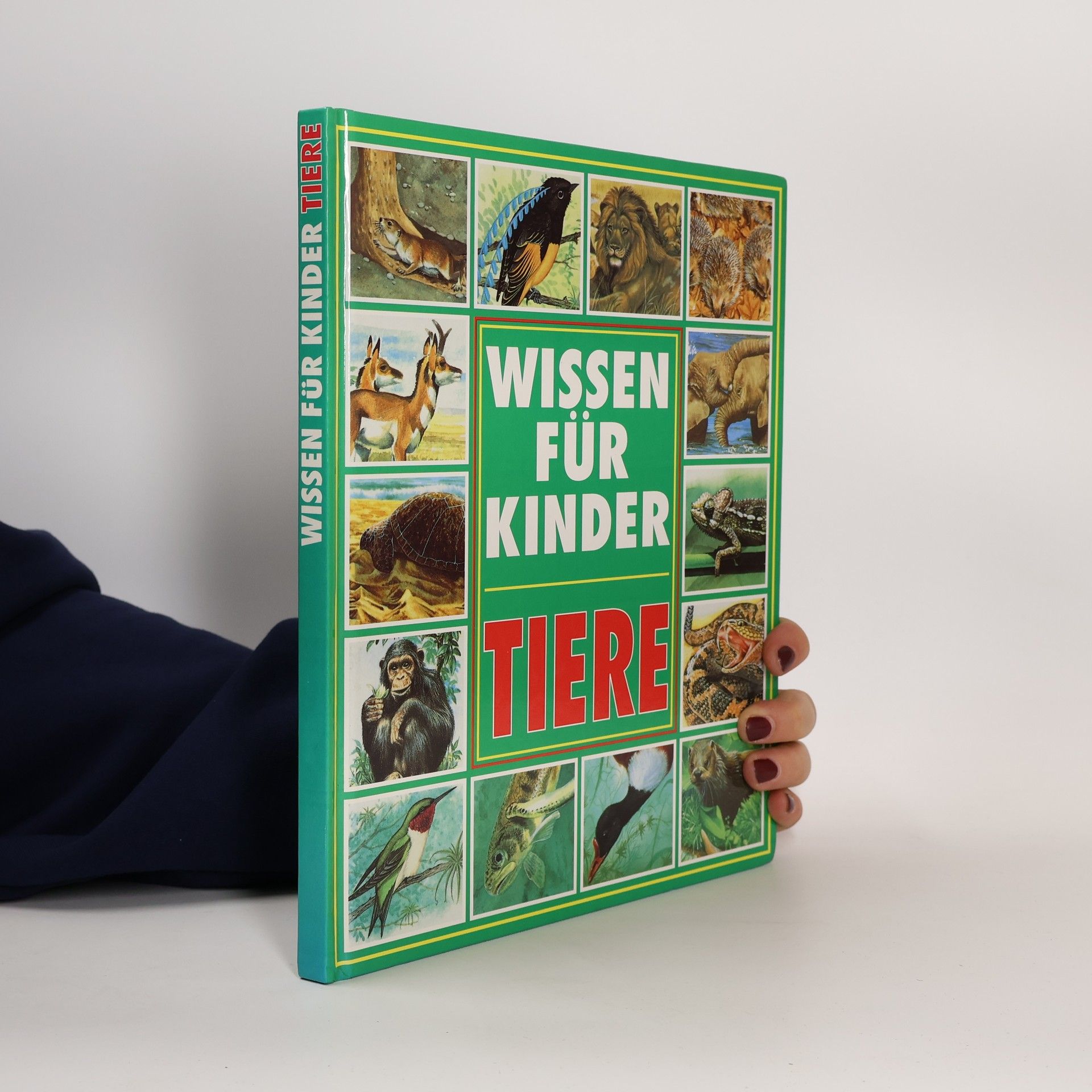 Tiere. Wissen für Kinder