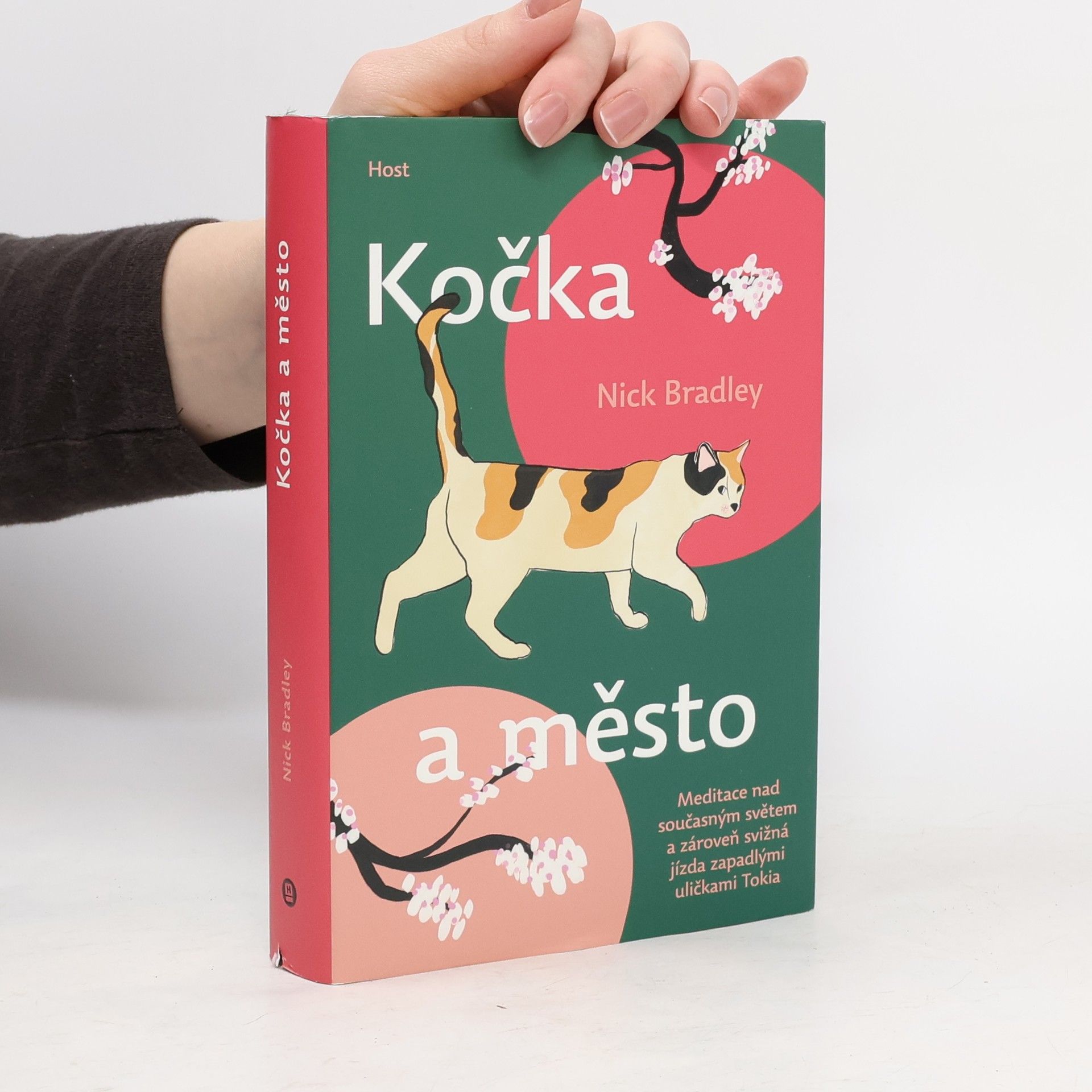 Nick Bradley Kočka a město