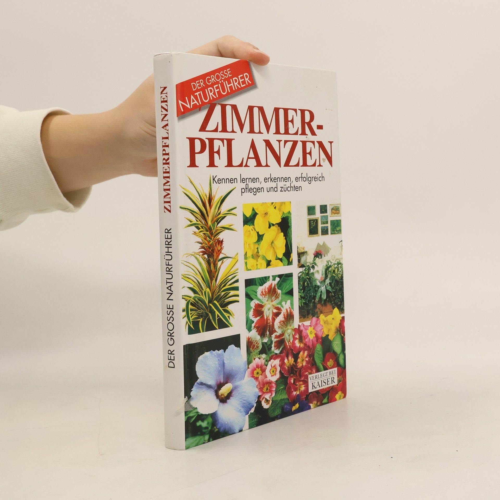 Maria Teresa Della Beffa Zimmerpflanzen