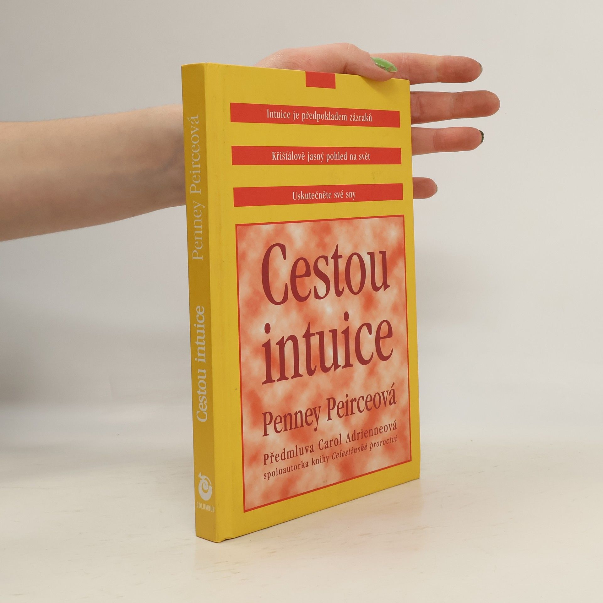 Cestou intuice: Průvodce životem pod vedením vnitřní moudrosti