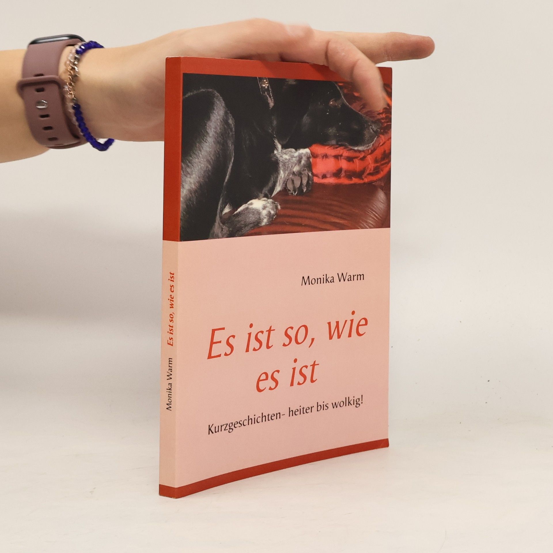 Monika Warm Es ist so, wie es ist