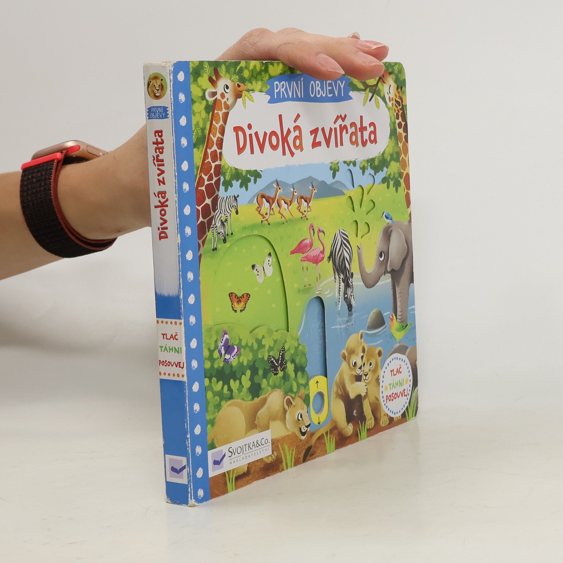 Jenny Wren Divoká zvířata