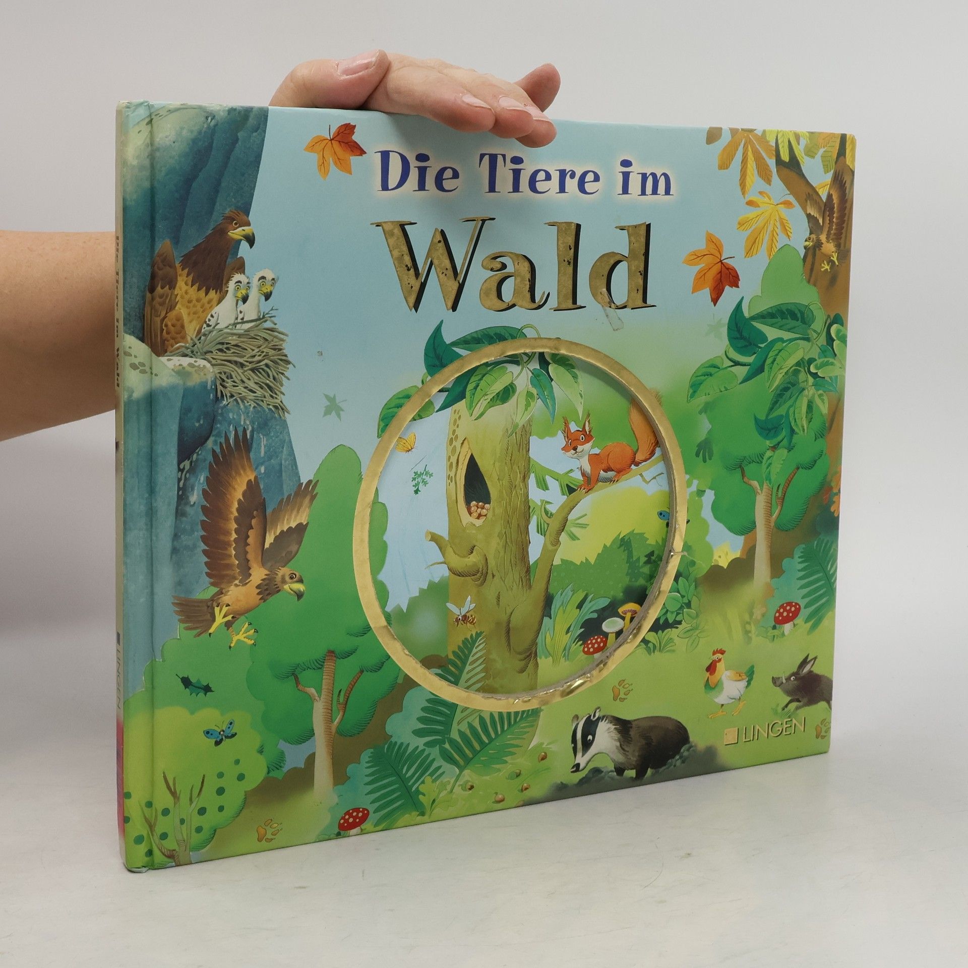 Kolektiv autorů Die Tiere im Wald