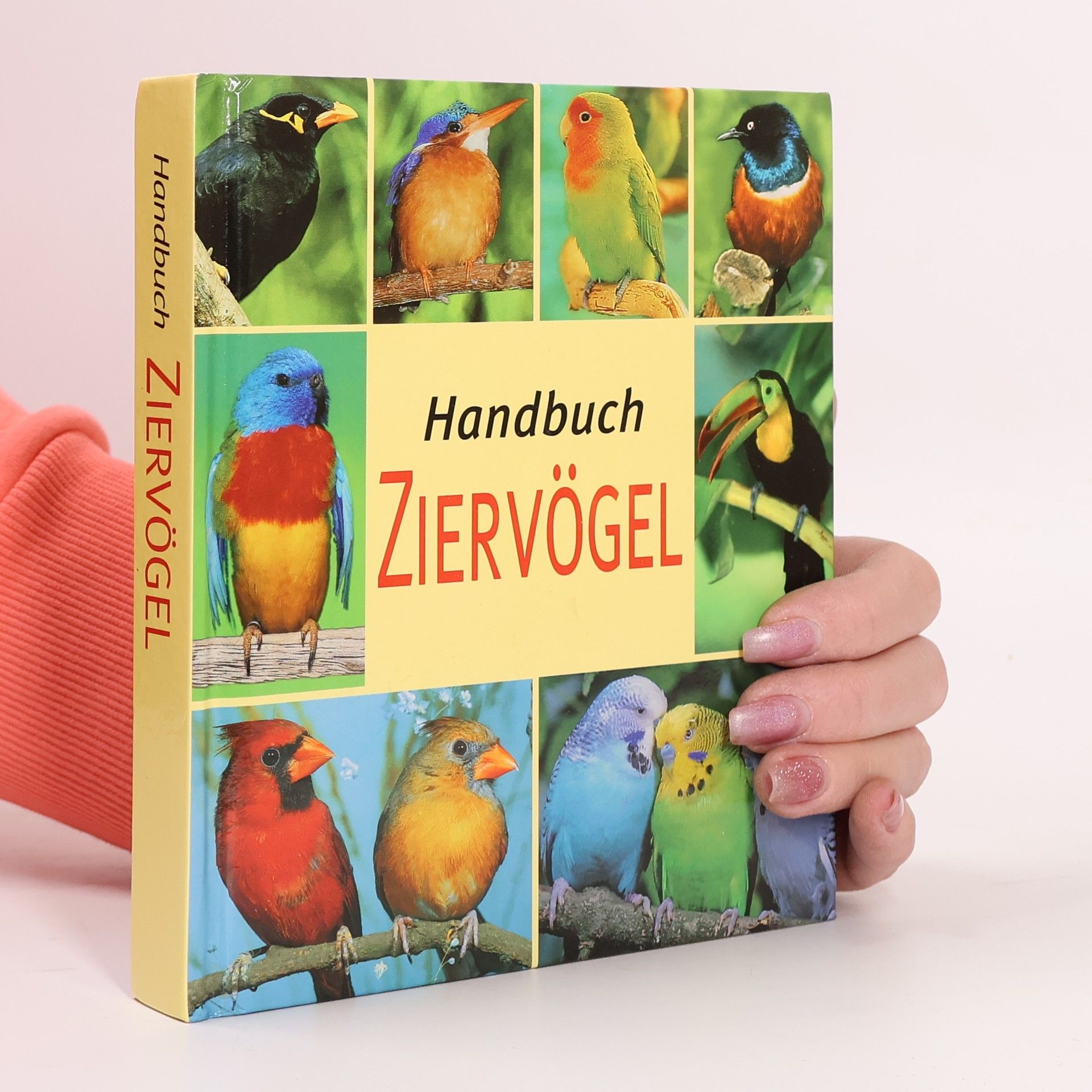 Autorenkollektiv Handbuch Ziervögel