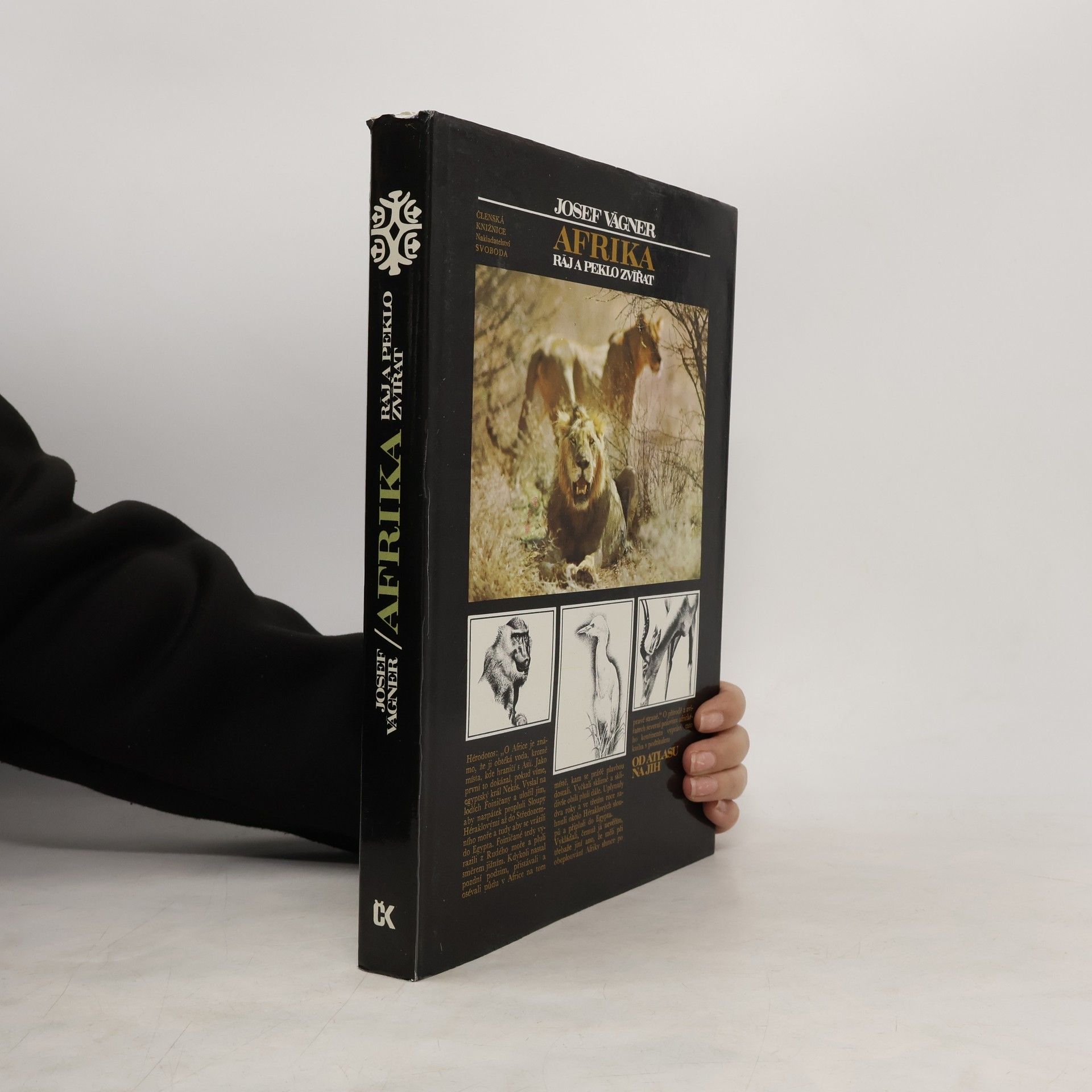 Josef Vágner Afrika. Ráj a peklo zvířat