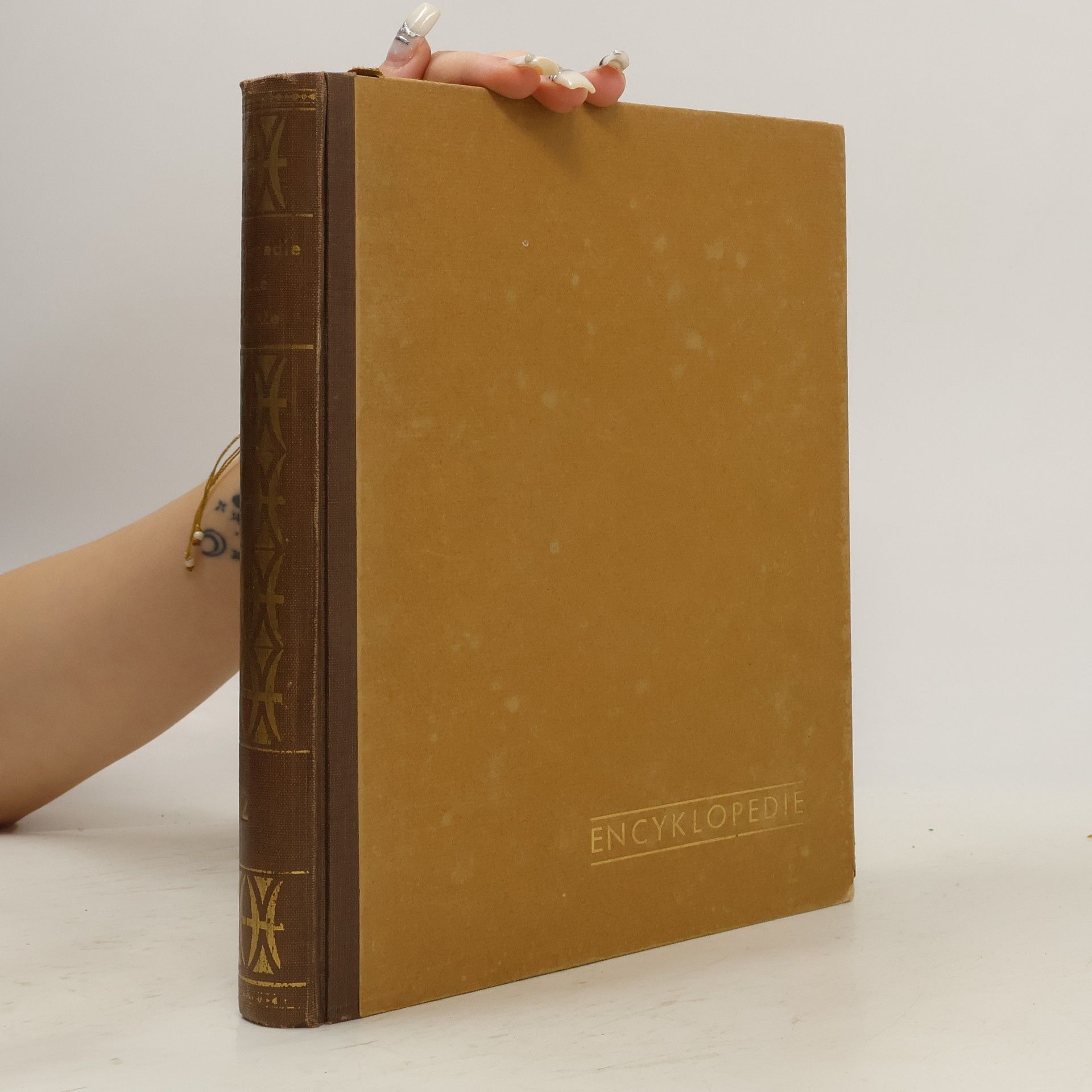 Autorenkollektiv Encyklopedie československé mládeže pro školu a dům 2