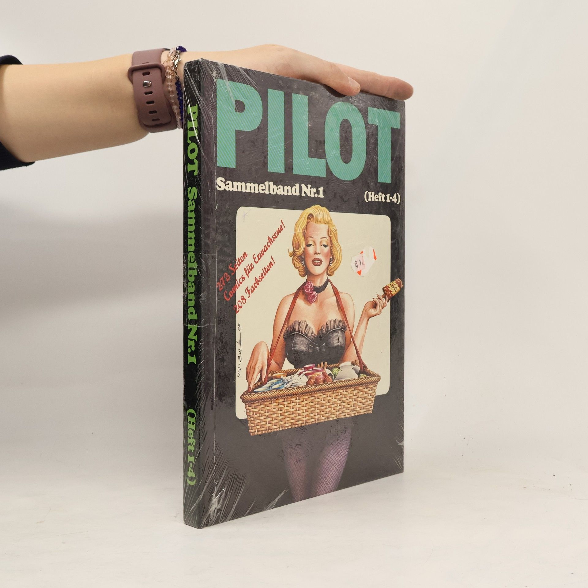 Kolektiv autorů Pilot