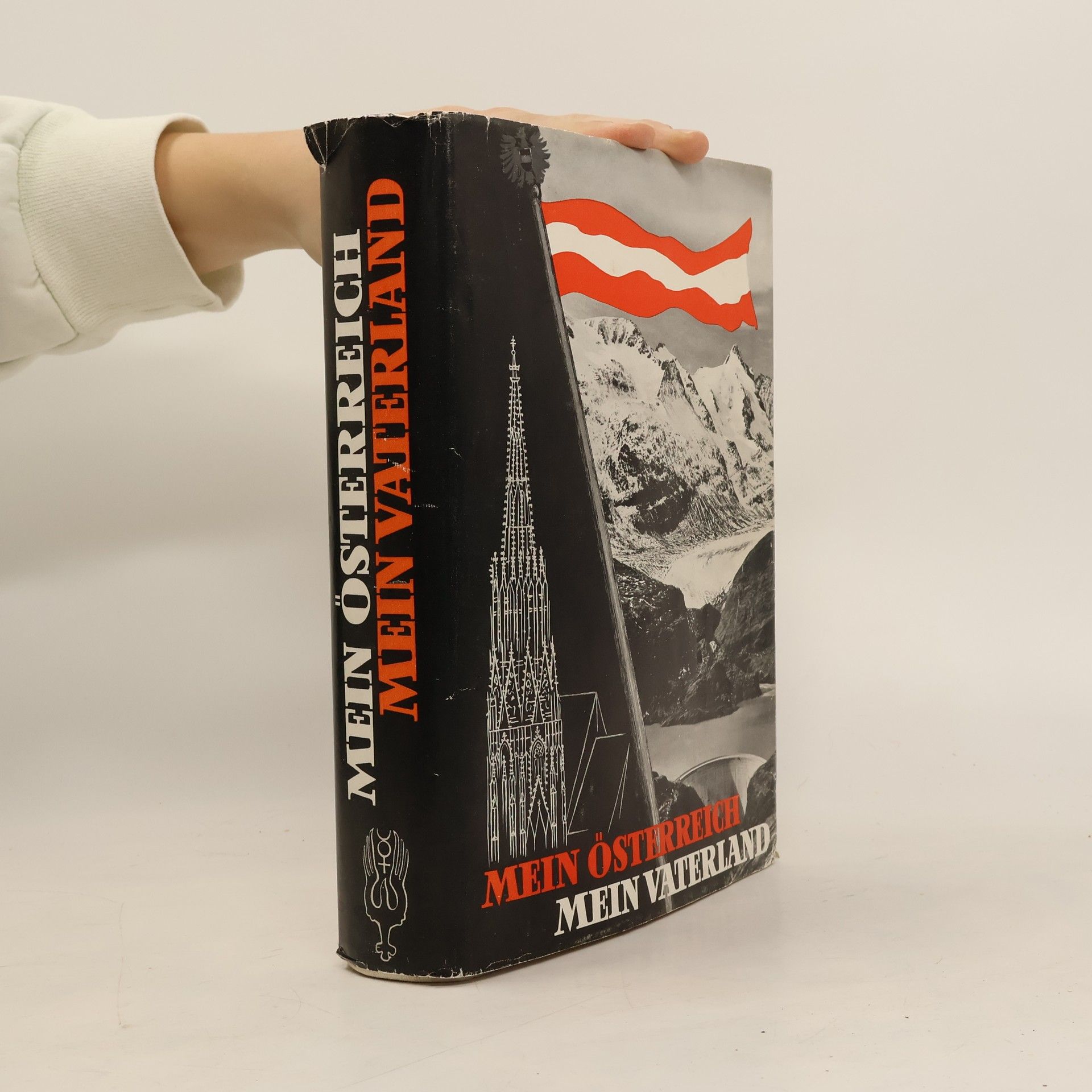 Kolektiv autorů Mein Österreich, mein Vaterland
