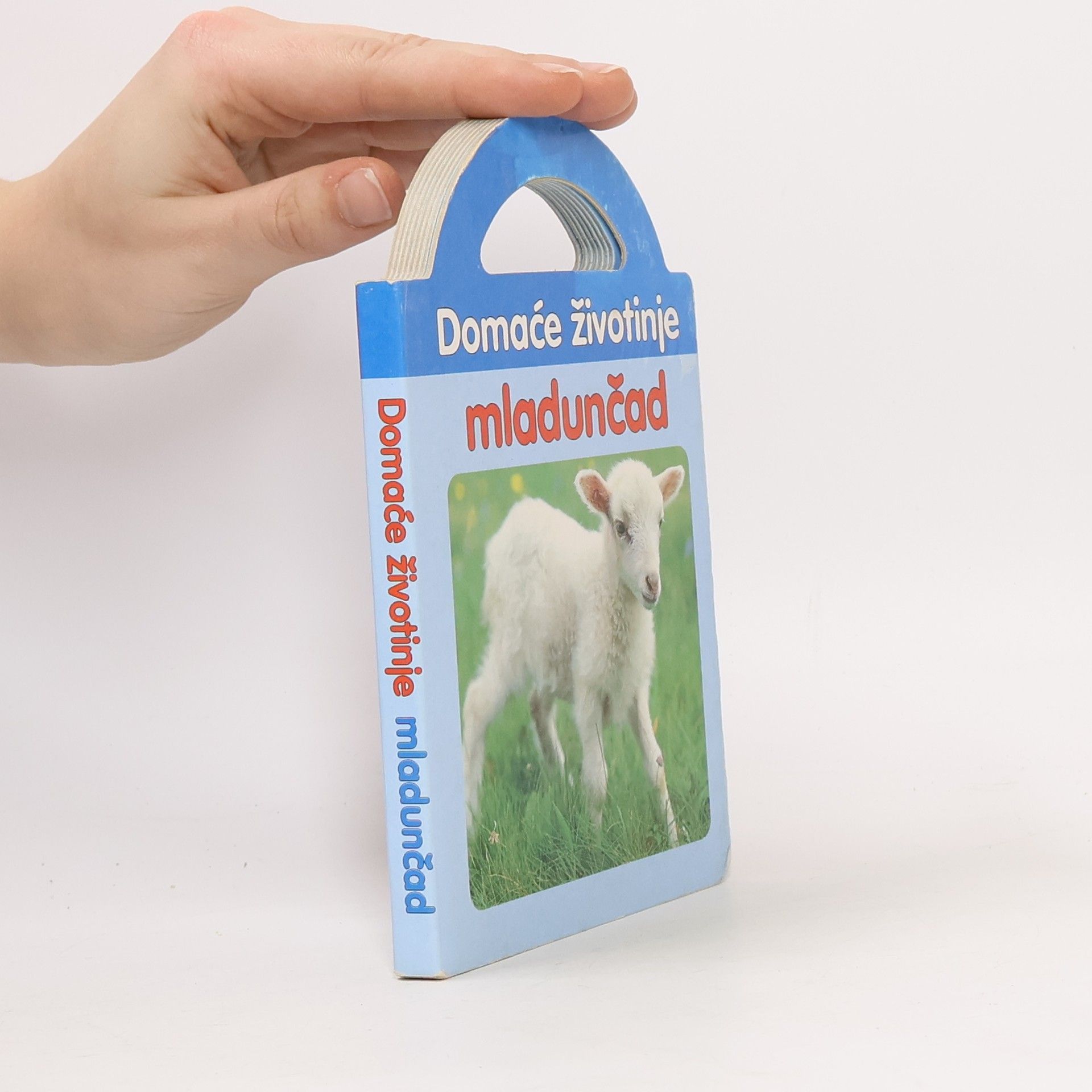Kolektív autorov Domaće životinje mladunčad