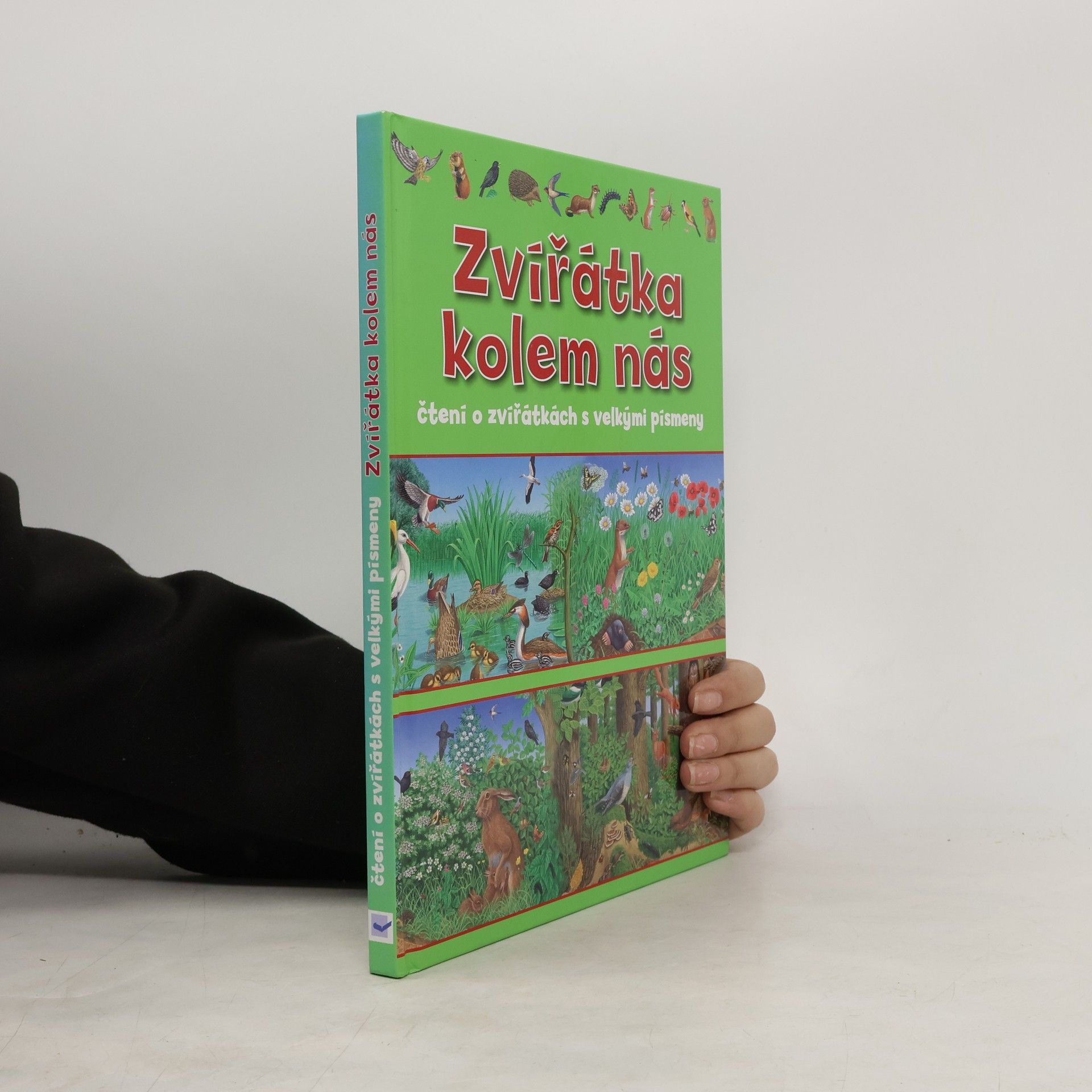 Auteurscollectief Zvířátka kolem nás : čtení o zvířátkách s velkými písmeny