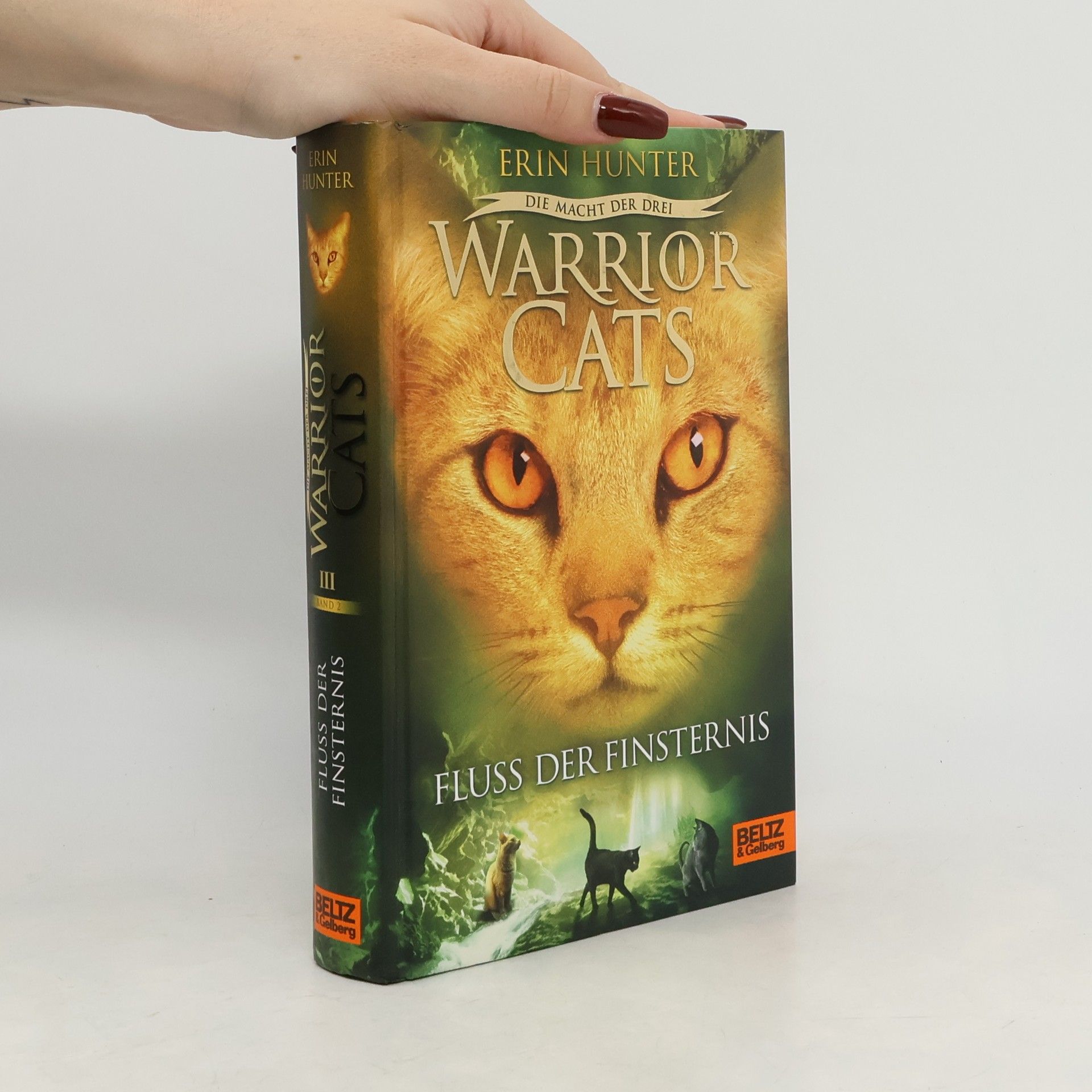 Warrior Cats. Fluss der Finsternis