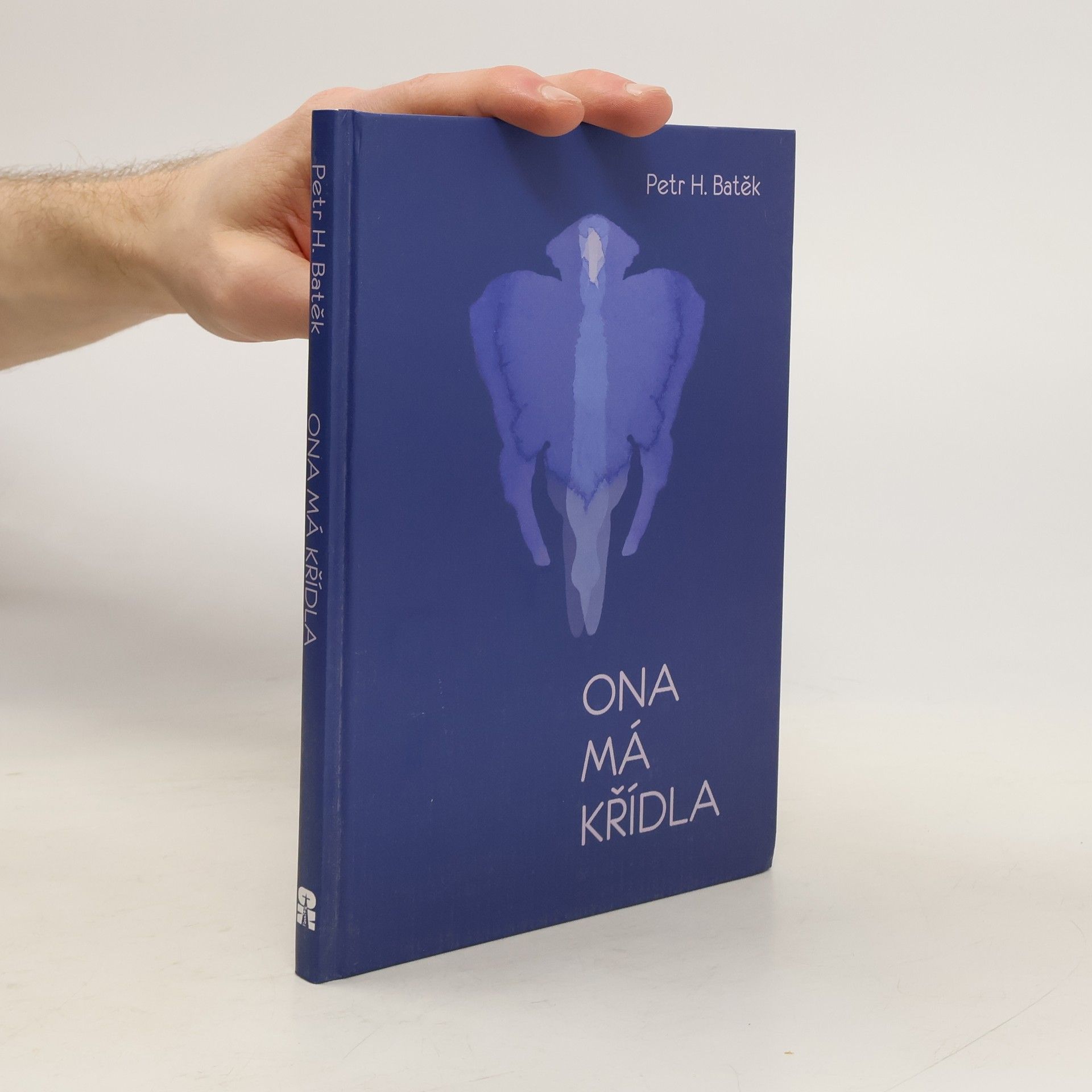 Petr Batěk Ona má křídla