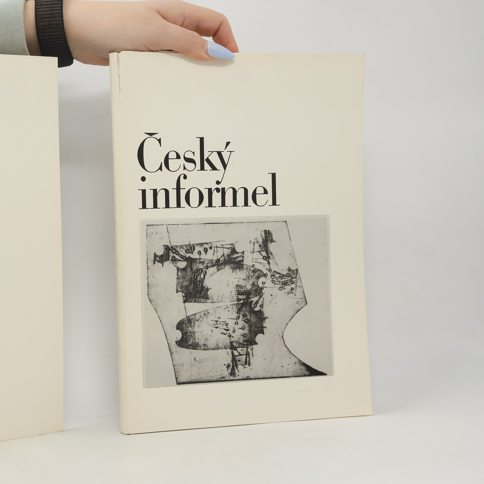 Kolektiv autorů Český informel