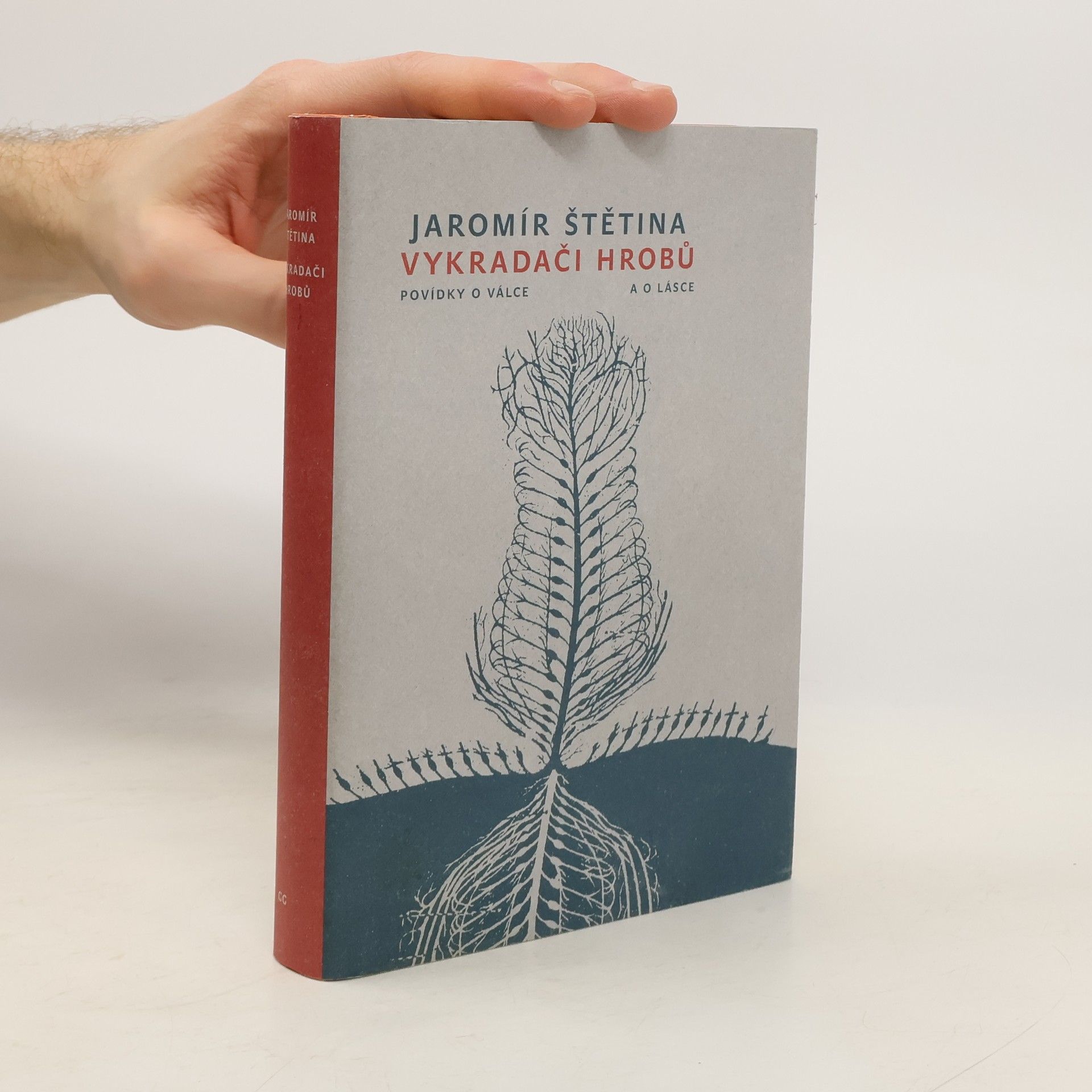 Jaromír Štětina Vykradači hrobů