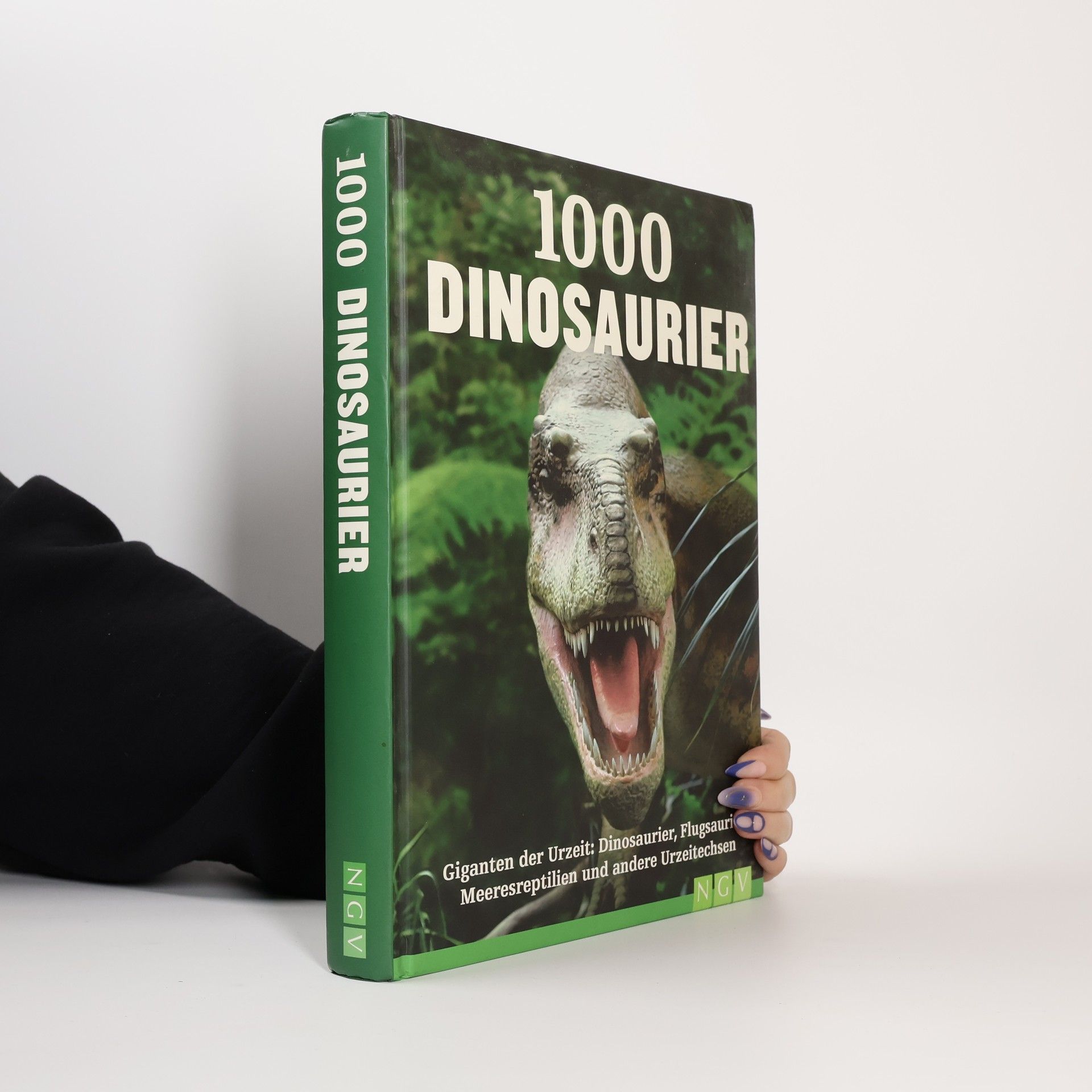 Helmut Werner 1000 Dinosaurier
