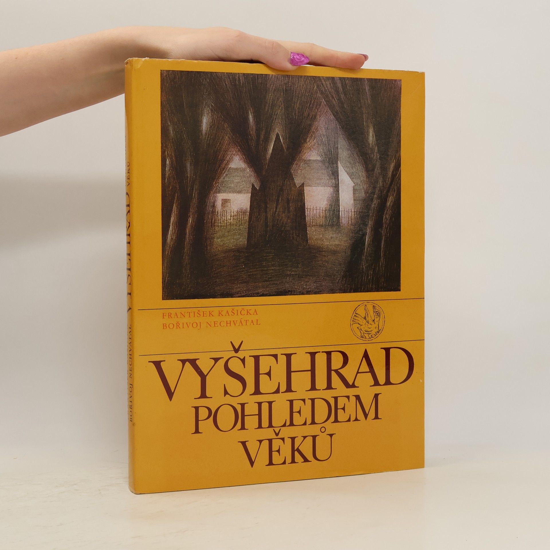 Vyšehrad pohledem věků