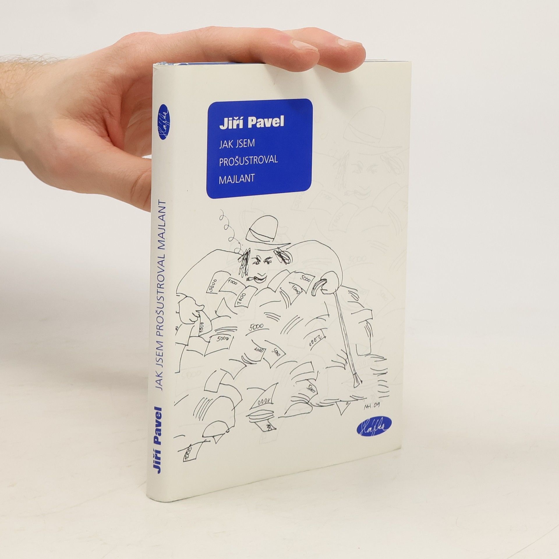 Jak jsem prošustroval majlant