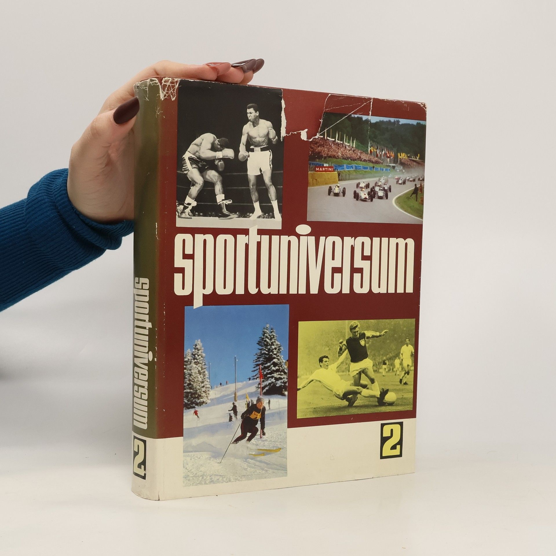 Hermann Hess Sportuniversum