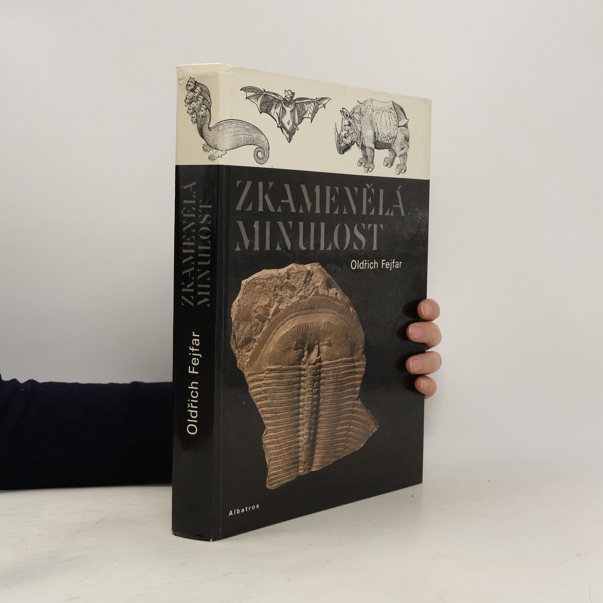 Zkamenělá minulost