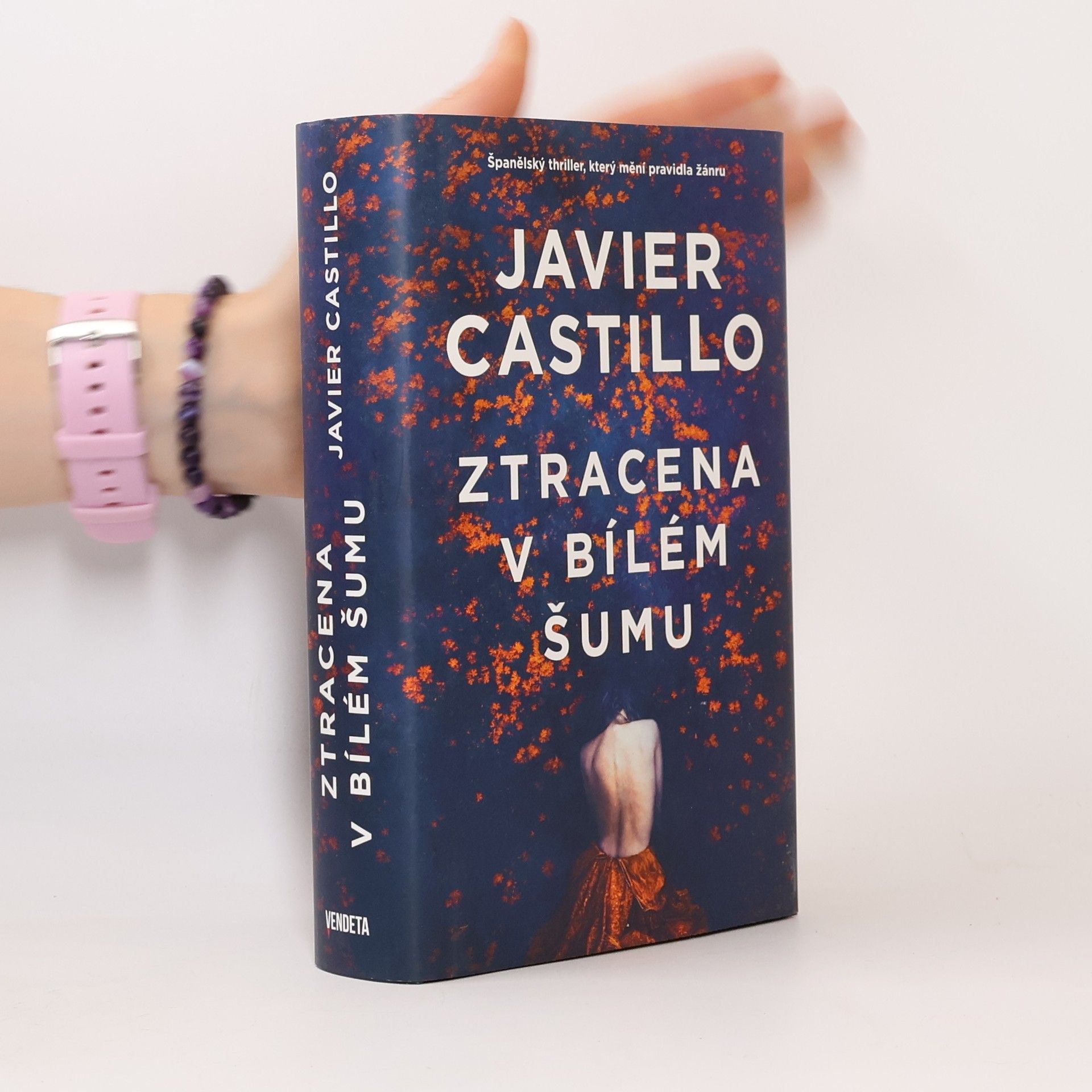 Javier Castillo Ztracena v bílém šumu